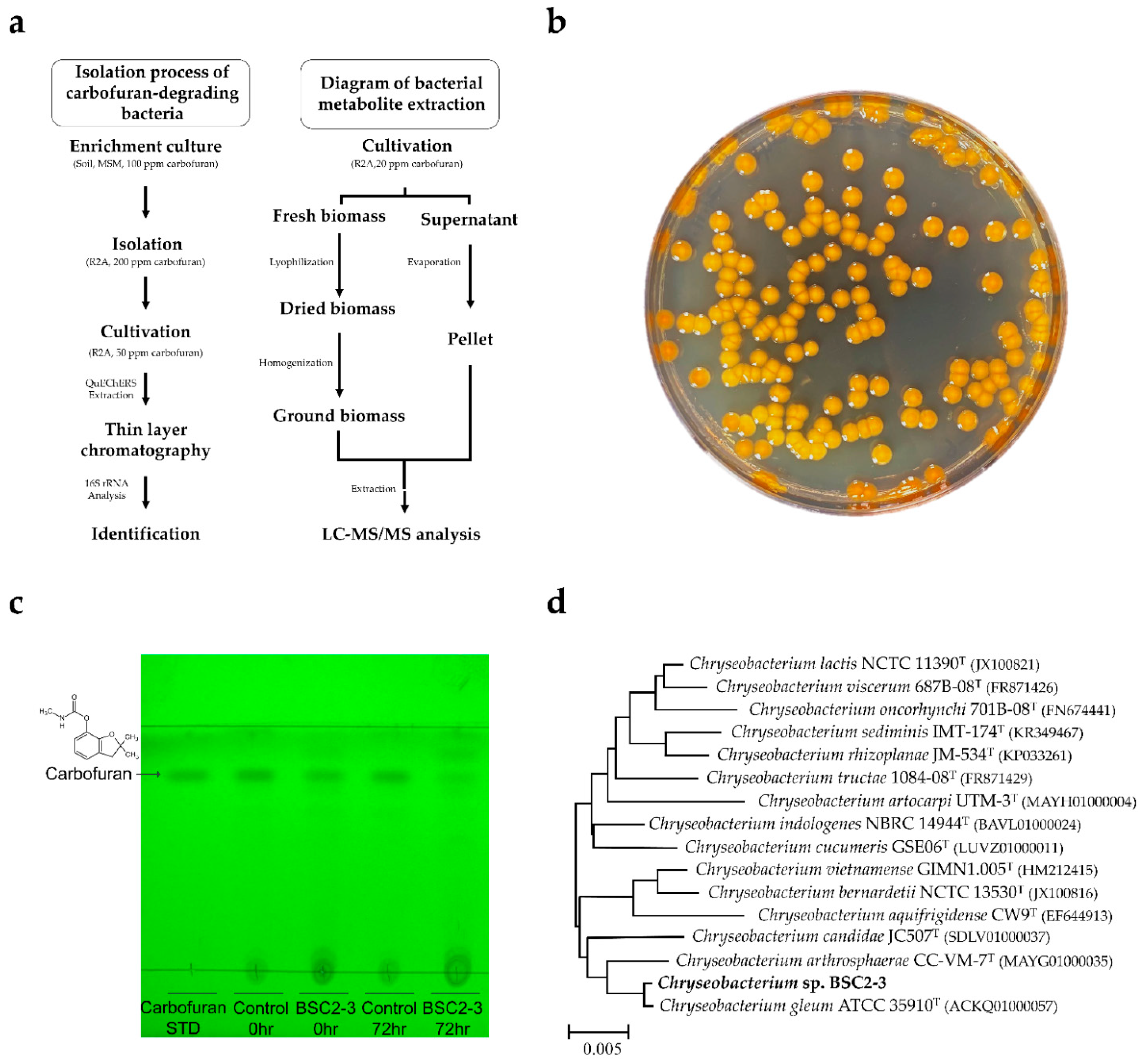 Metabolites 12 00219 g001 Metabolites 12 00219 g001