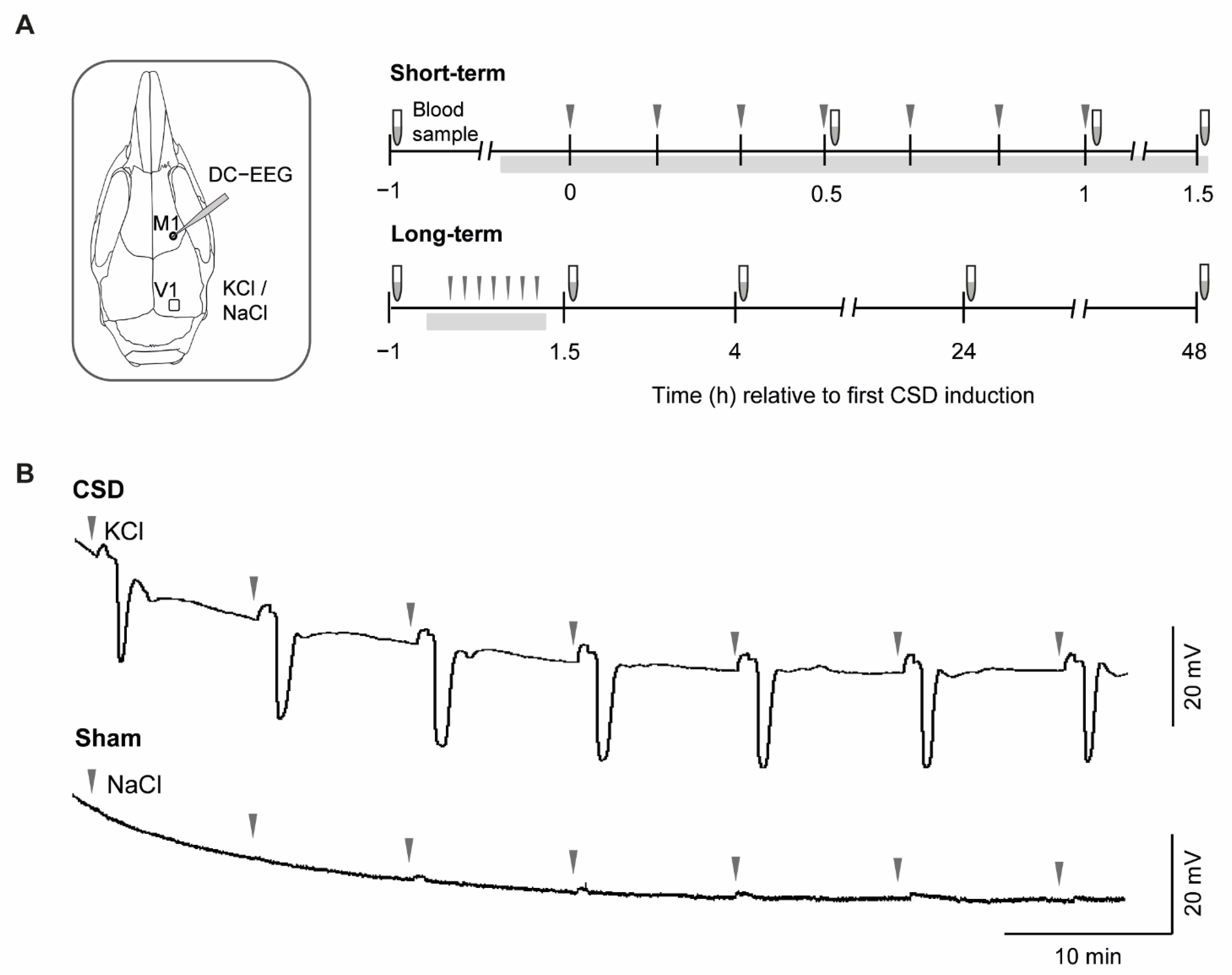 Metabolites 12 00220 g001