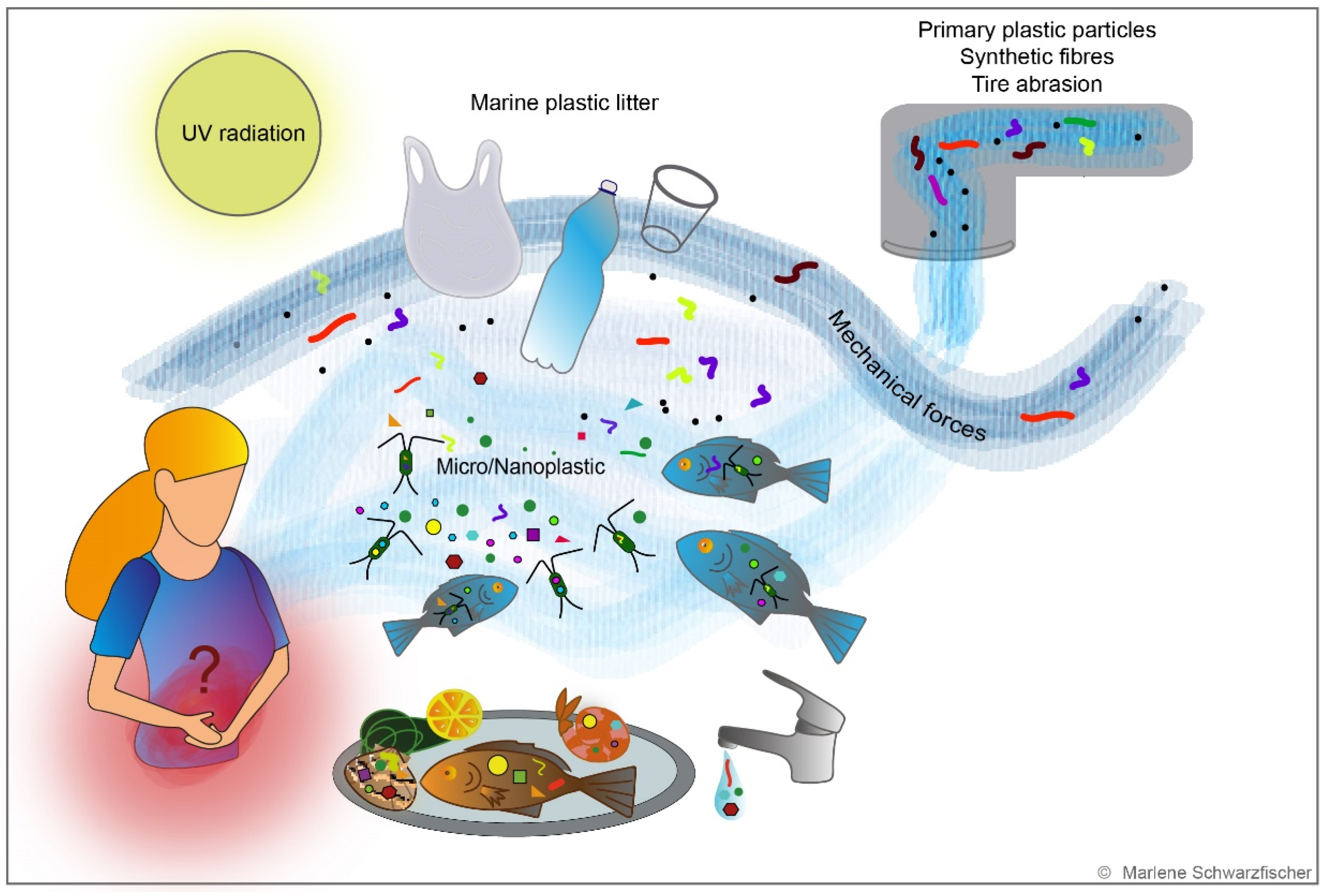 Metabolites 12 00223 g003