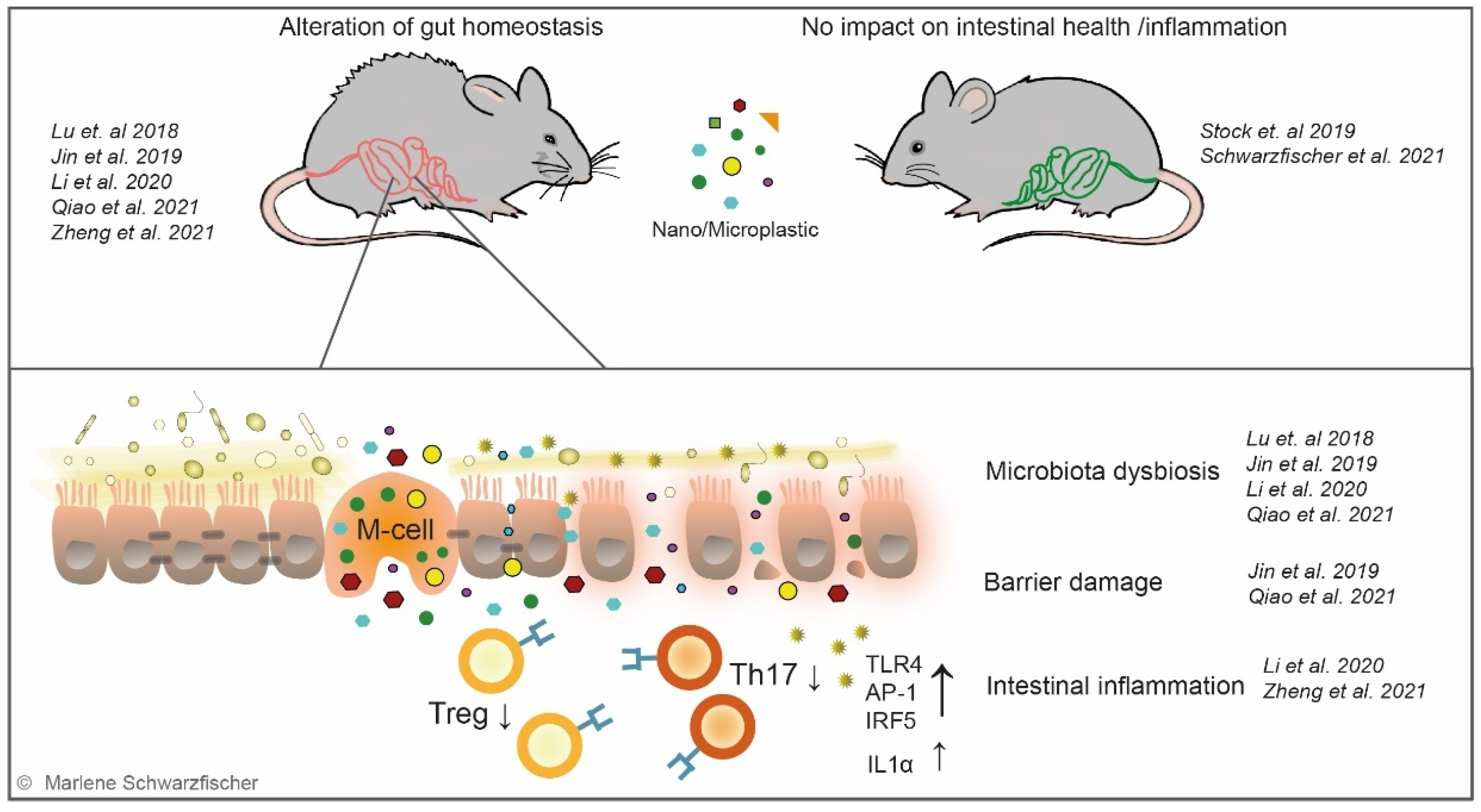 Metabolites 12 00223 g004