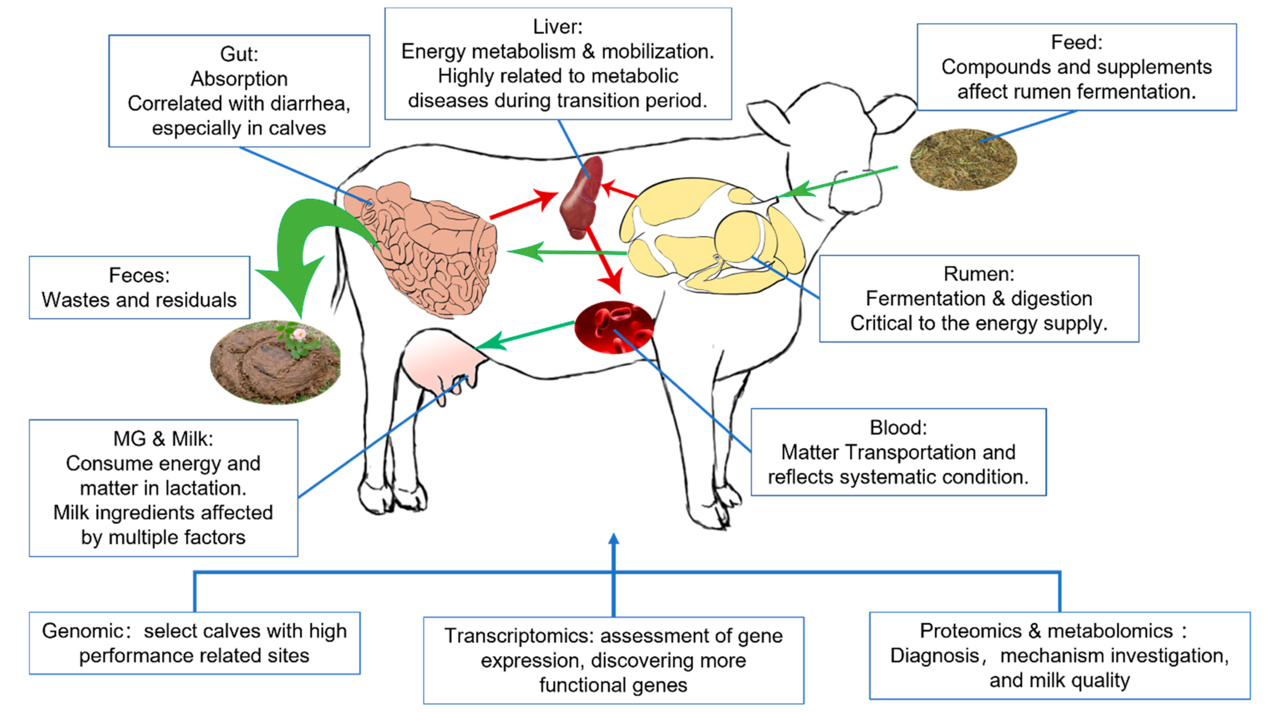 Metabolites 12 00225 g001