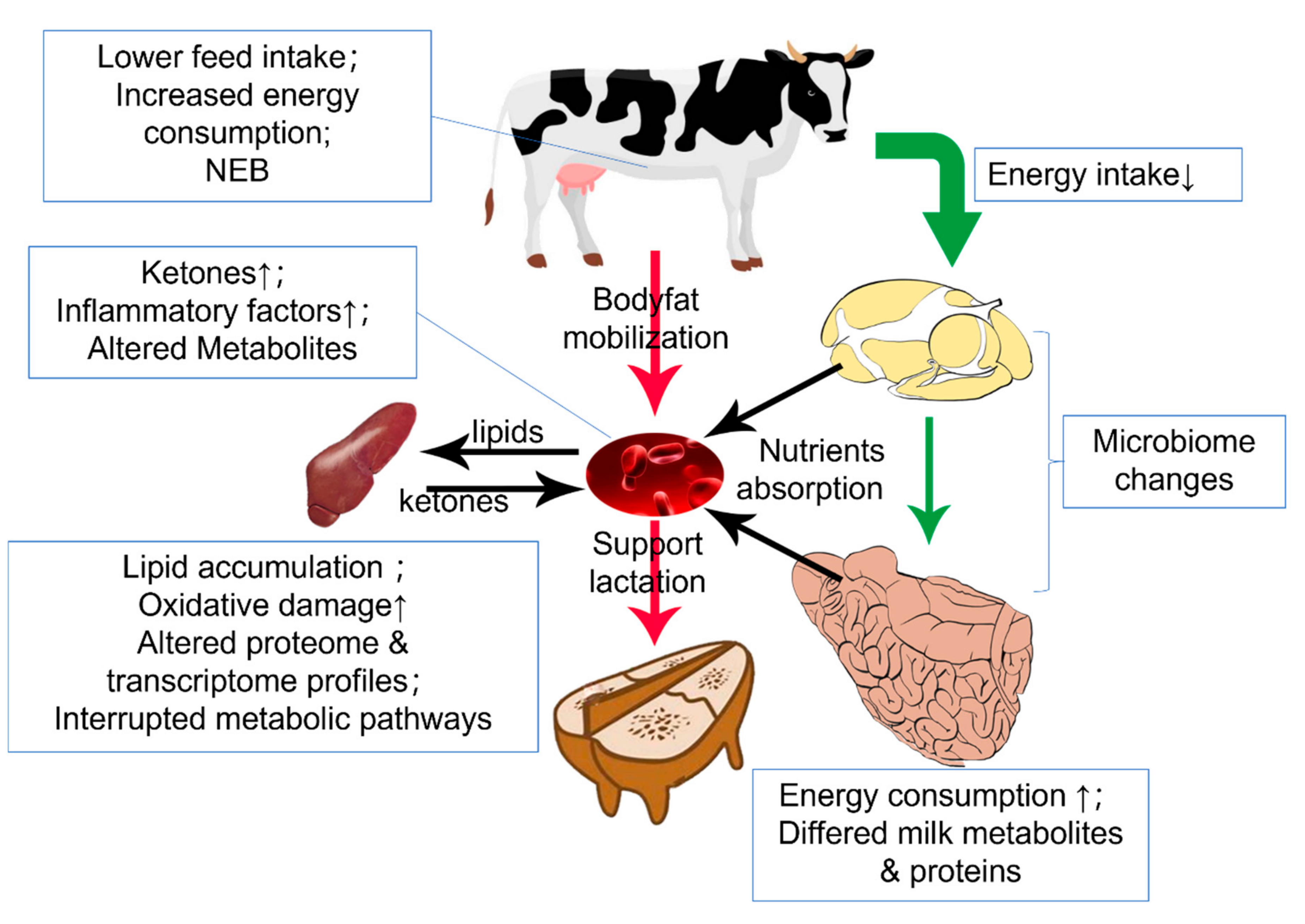 Metabolites 12 00225 g002