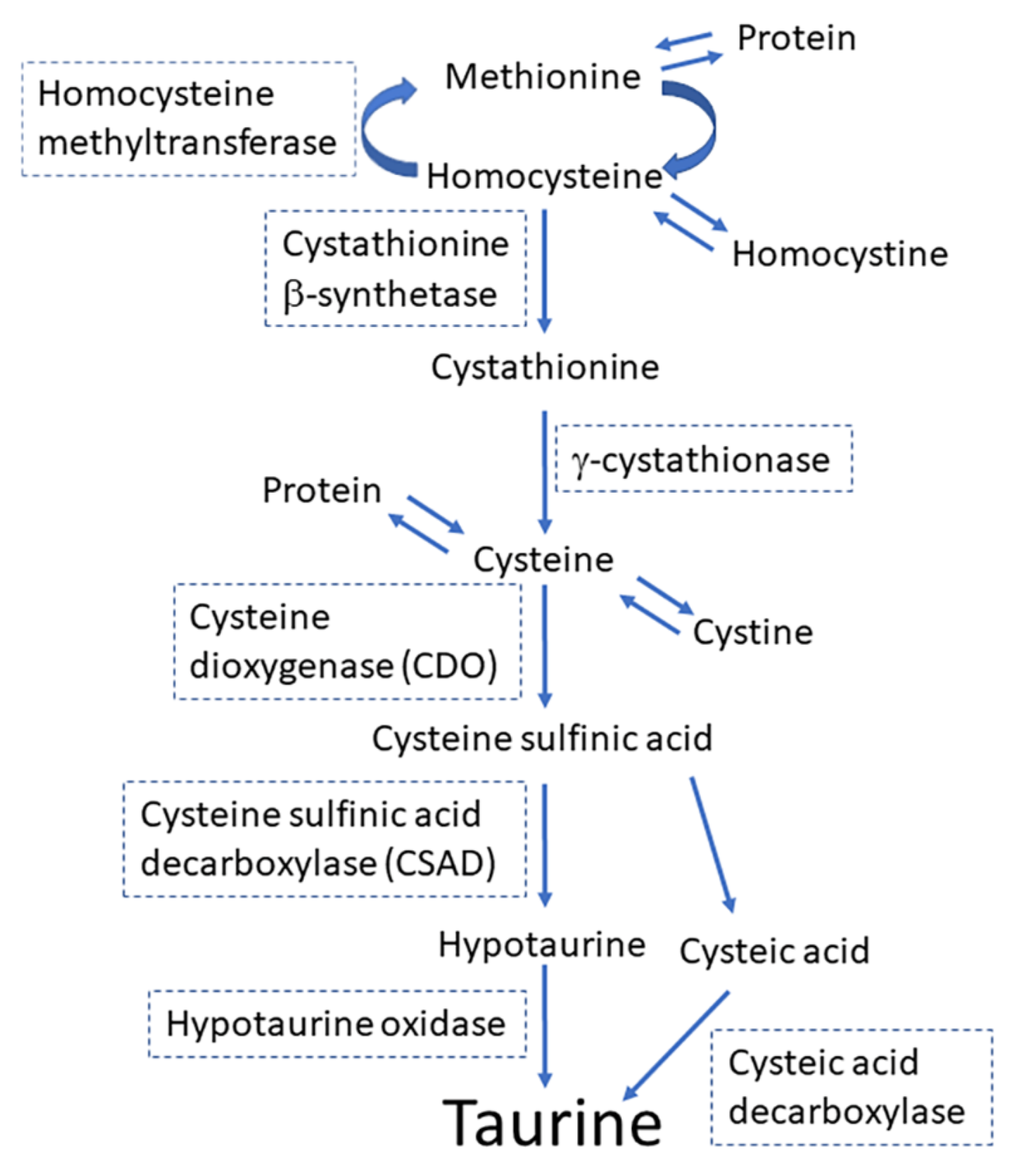 Metabolites 12 00228 g001
