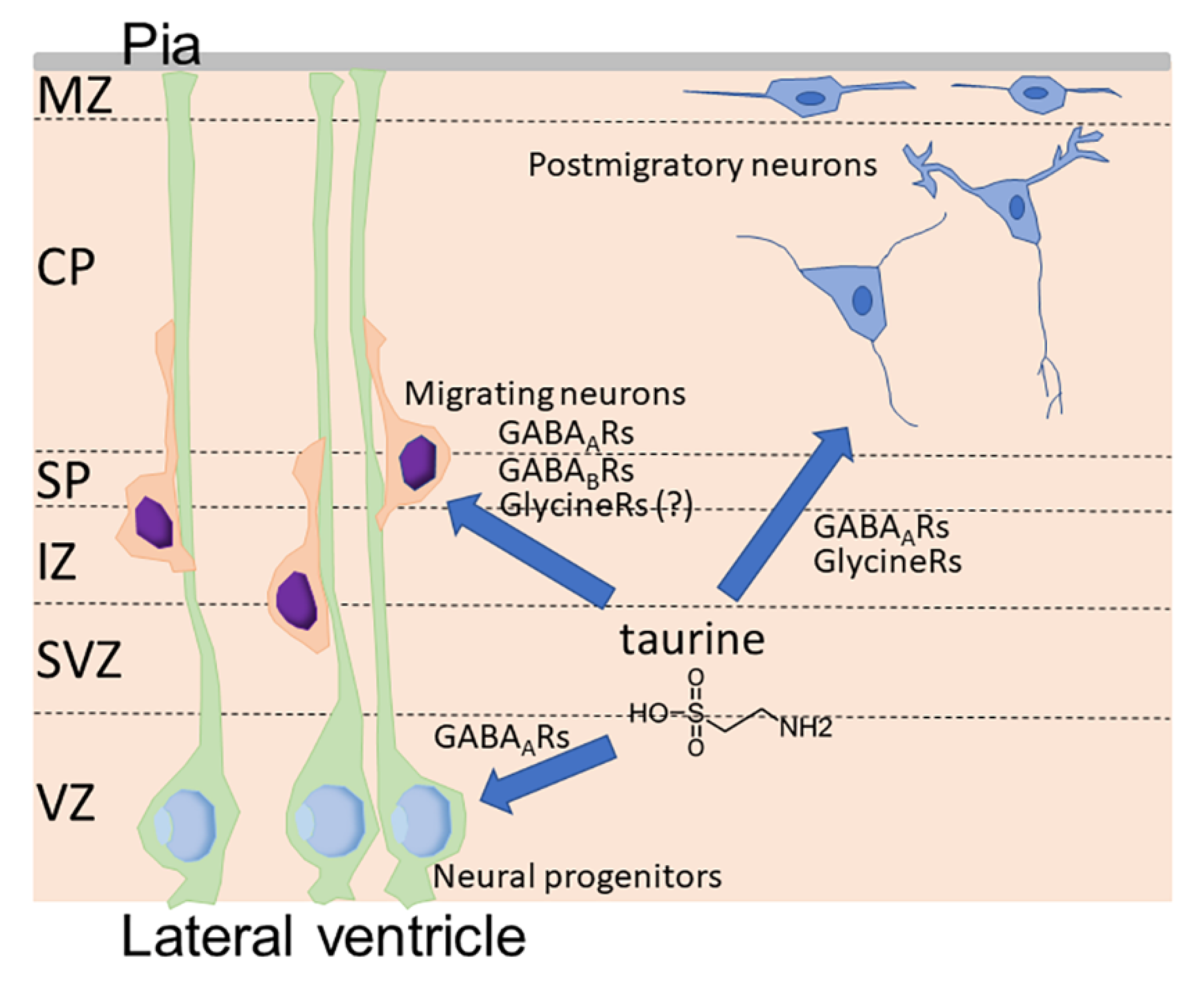 Metabolites 12 00228 g002