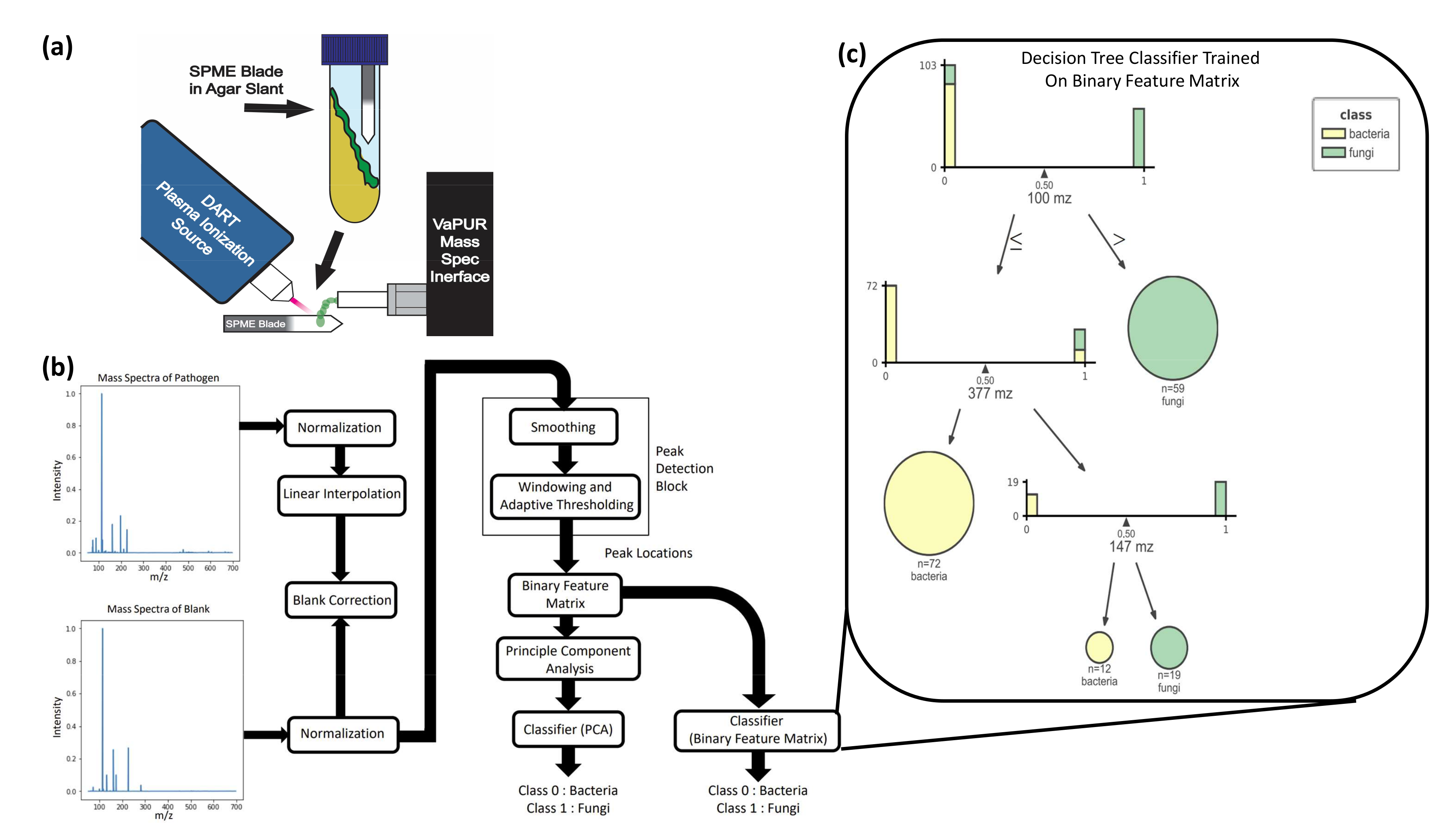 Metabolites 12 00232 g002