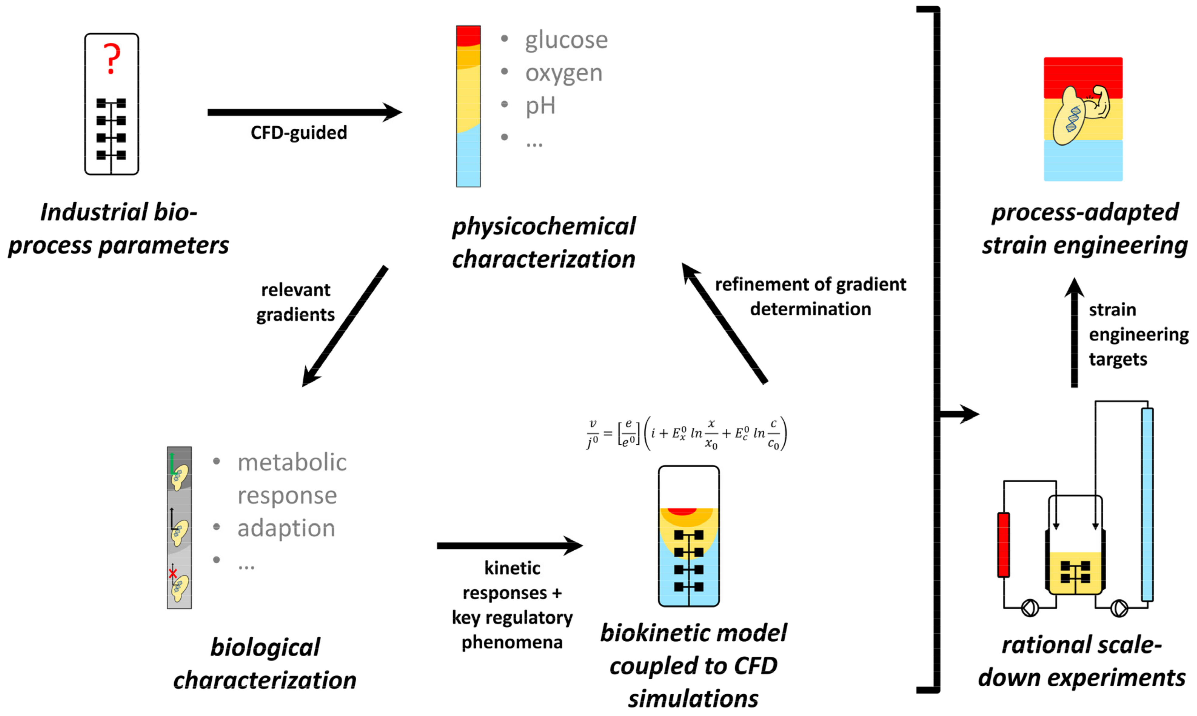 Metabolites 12 00263 g001