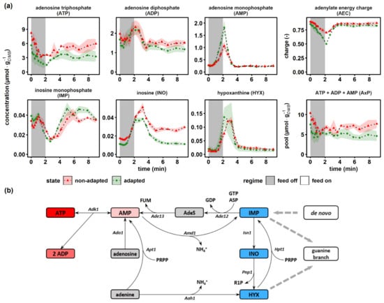 Metabolites 12 00263 g006