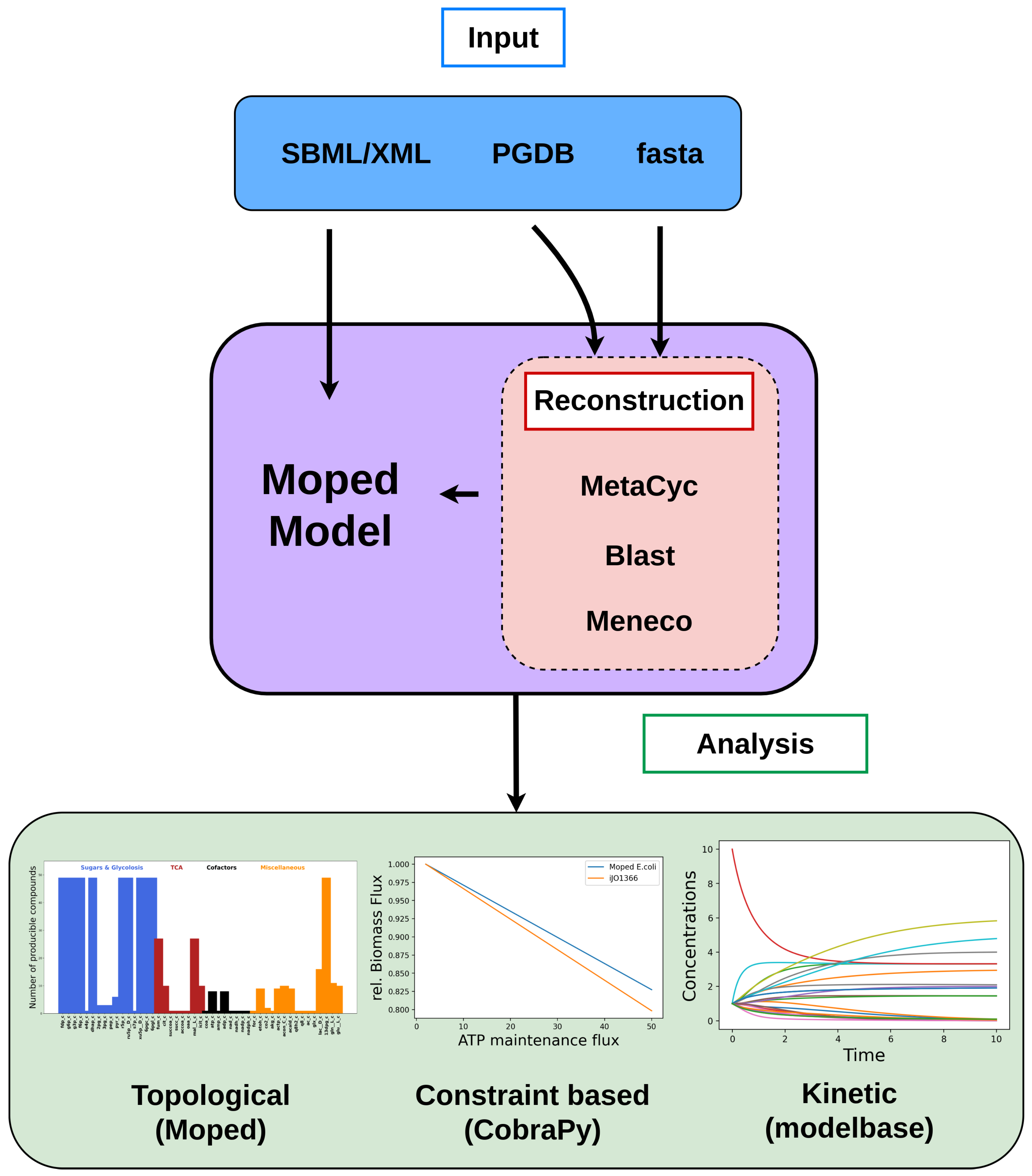 Metabolites 12 00275 g001