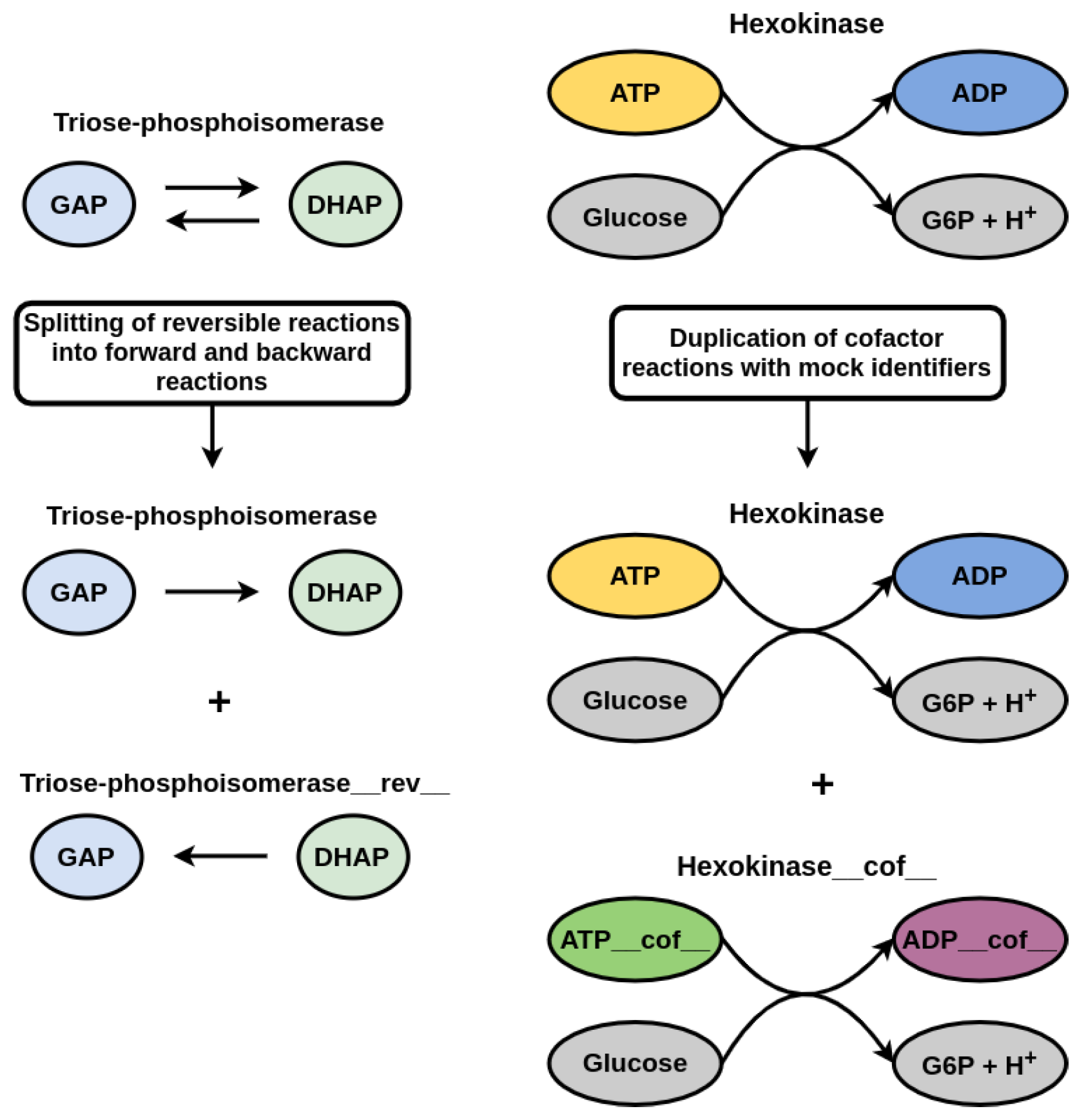 Metabolites 12 00275 g003