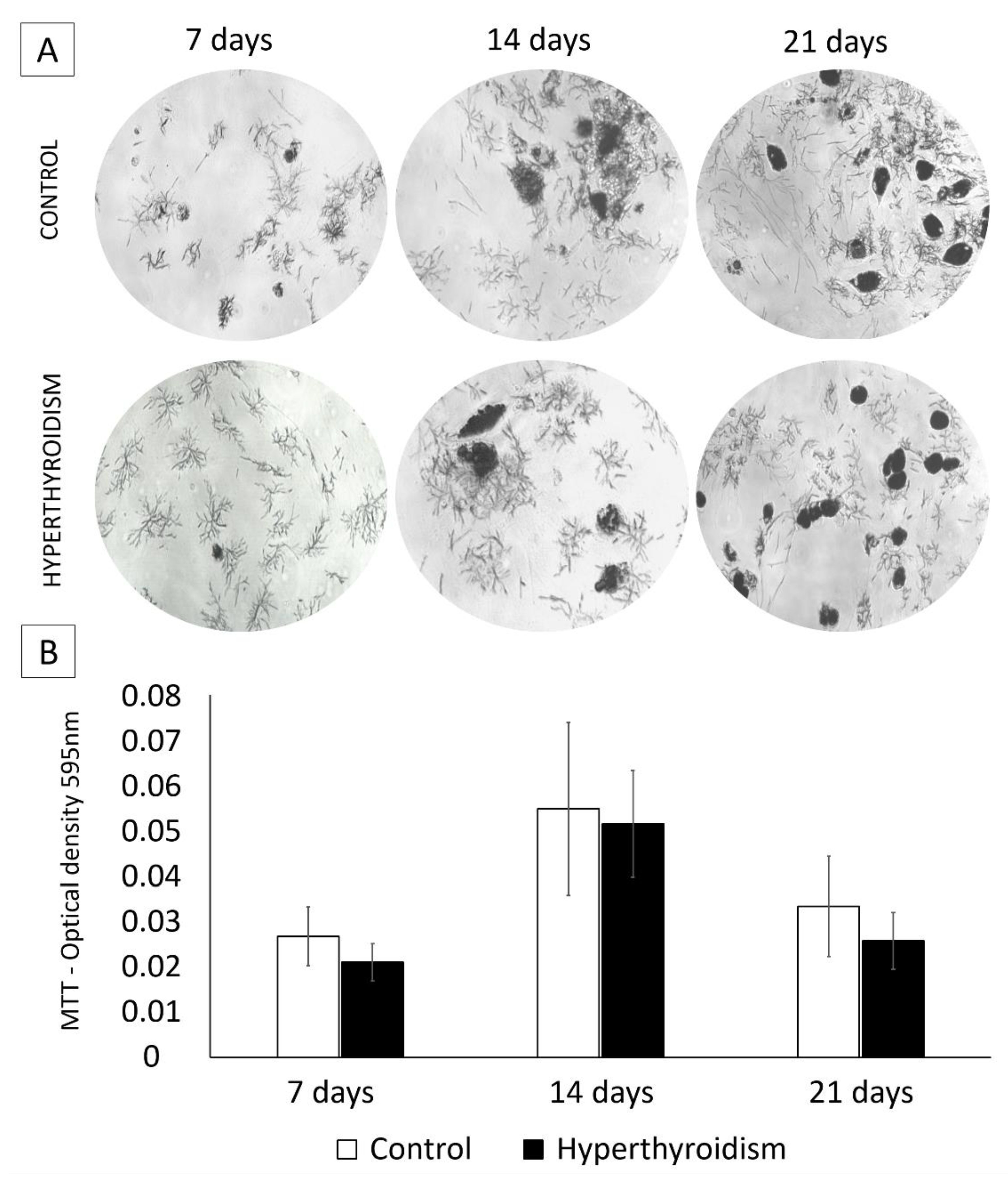 Metabolites 12 00292 g003 Metabolites 12 00292 g003