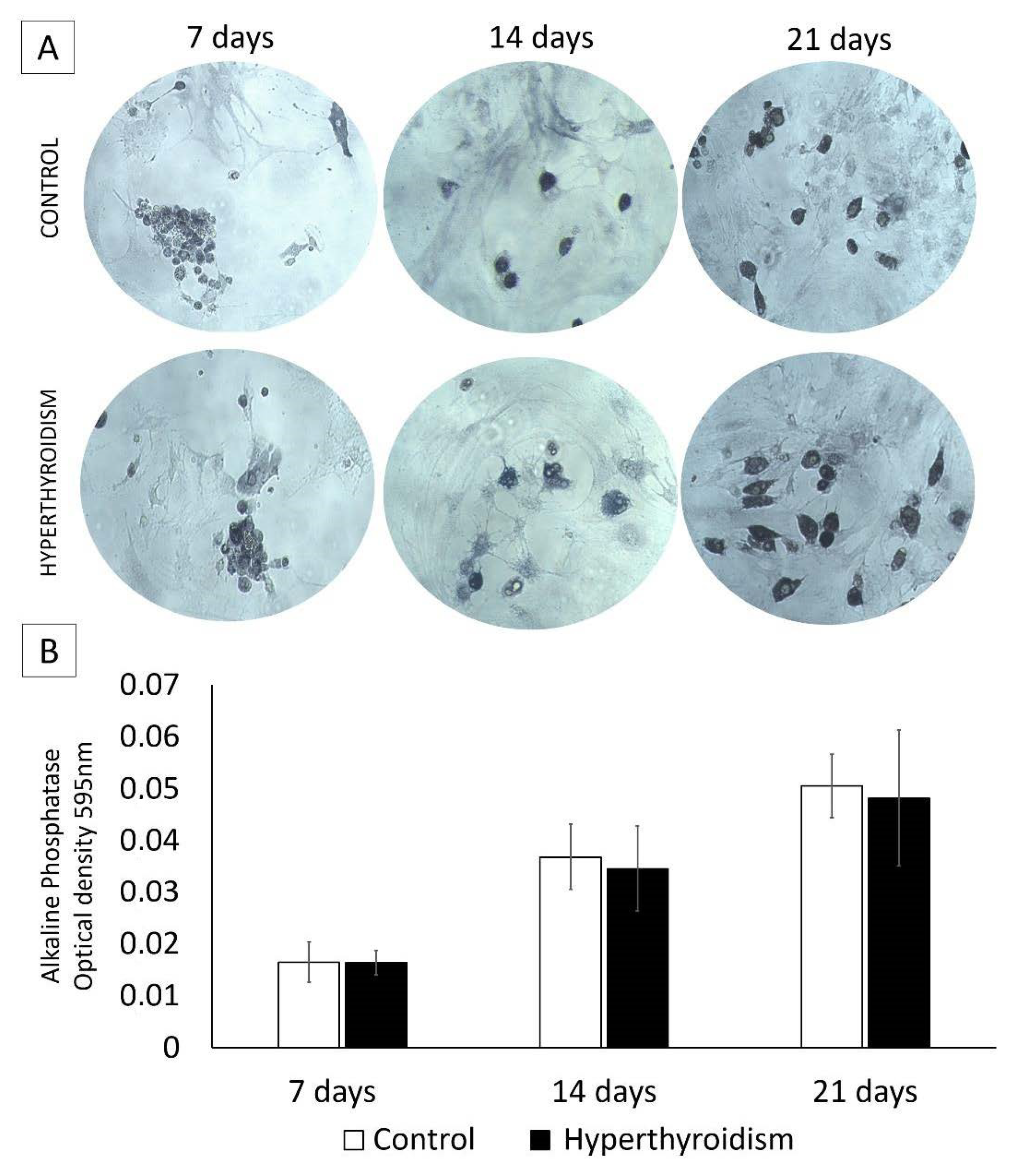 Metabolites 12 00292 g004 Metabolites 12 00292 g004