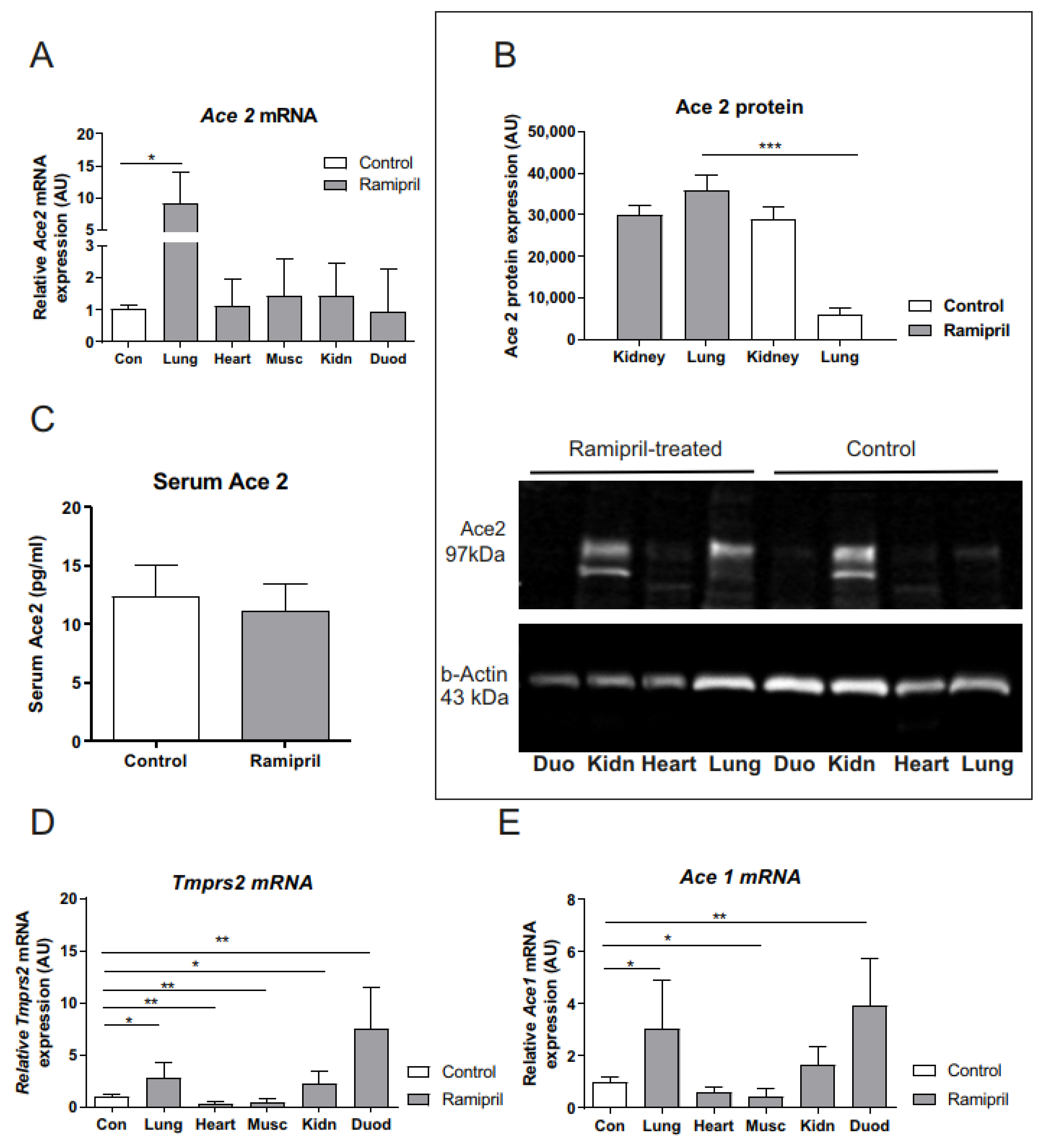 Metabolites 12 00293 g001