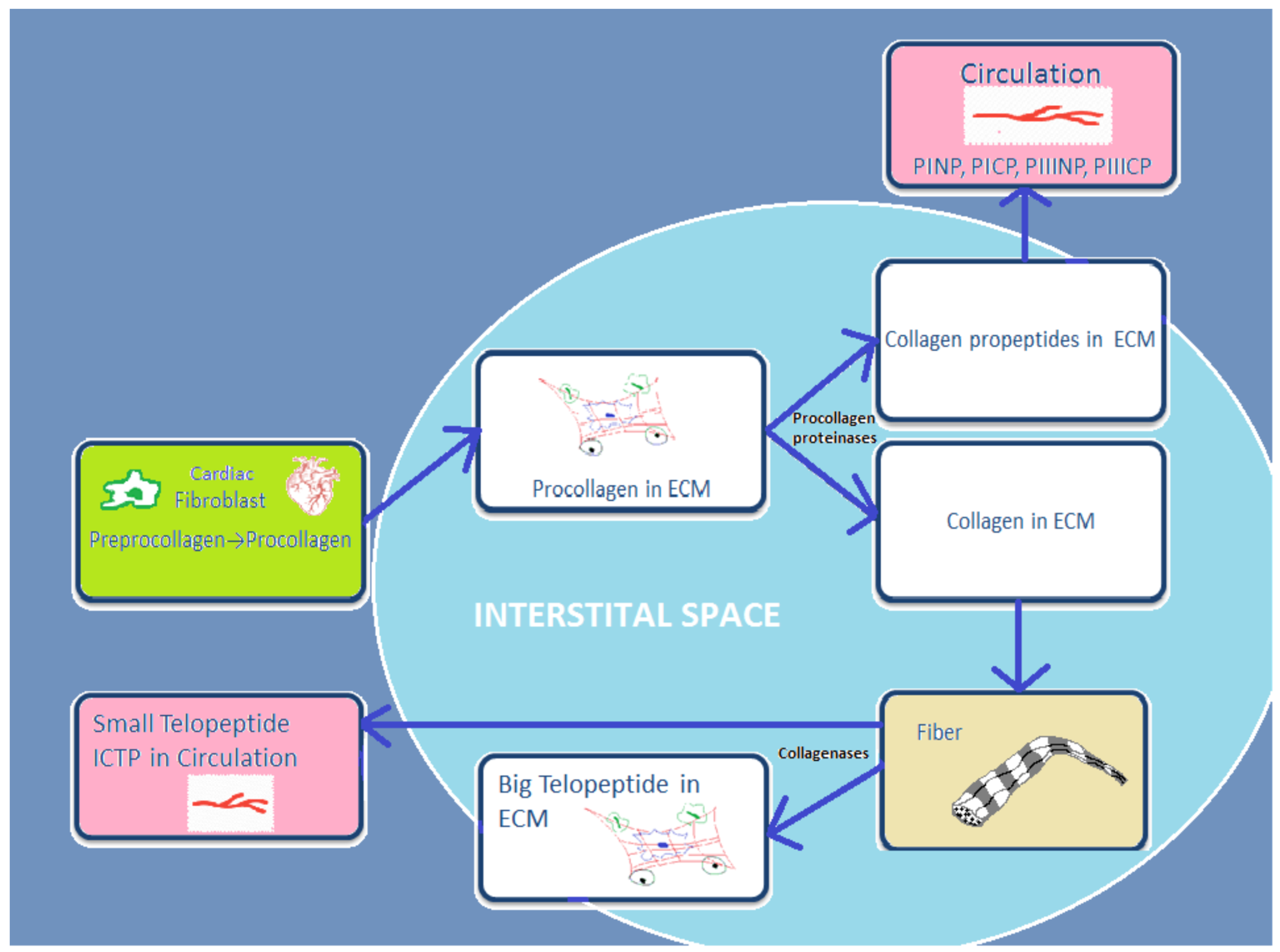 Metabolites 12 00297 g001