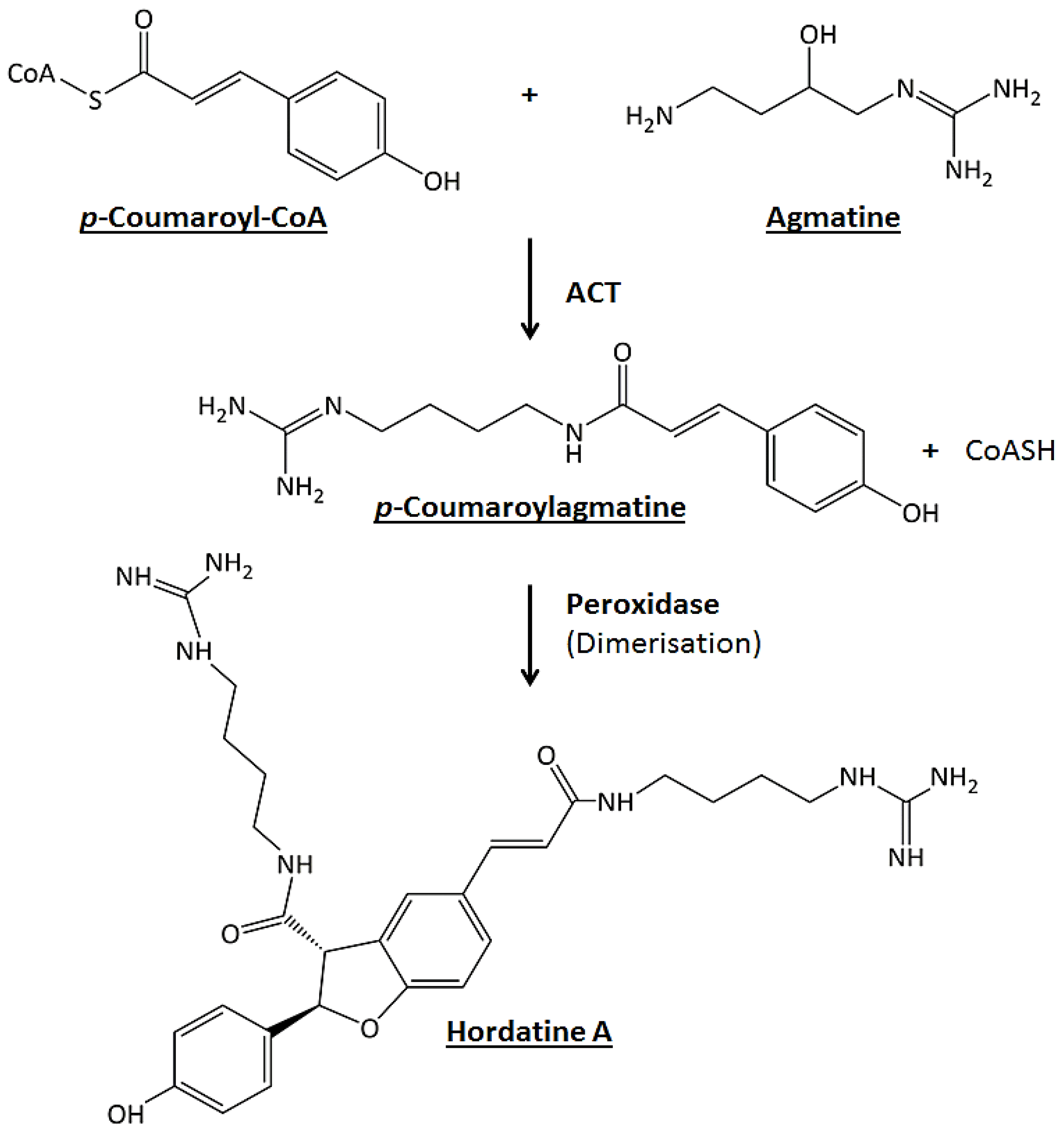 Metabolites 12 00310 g001