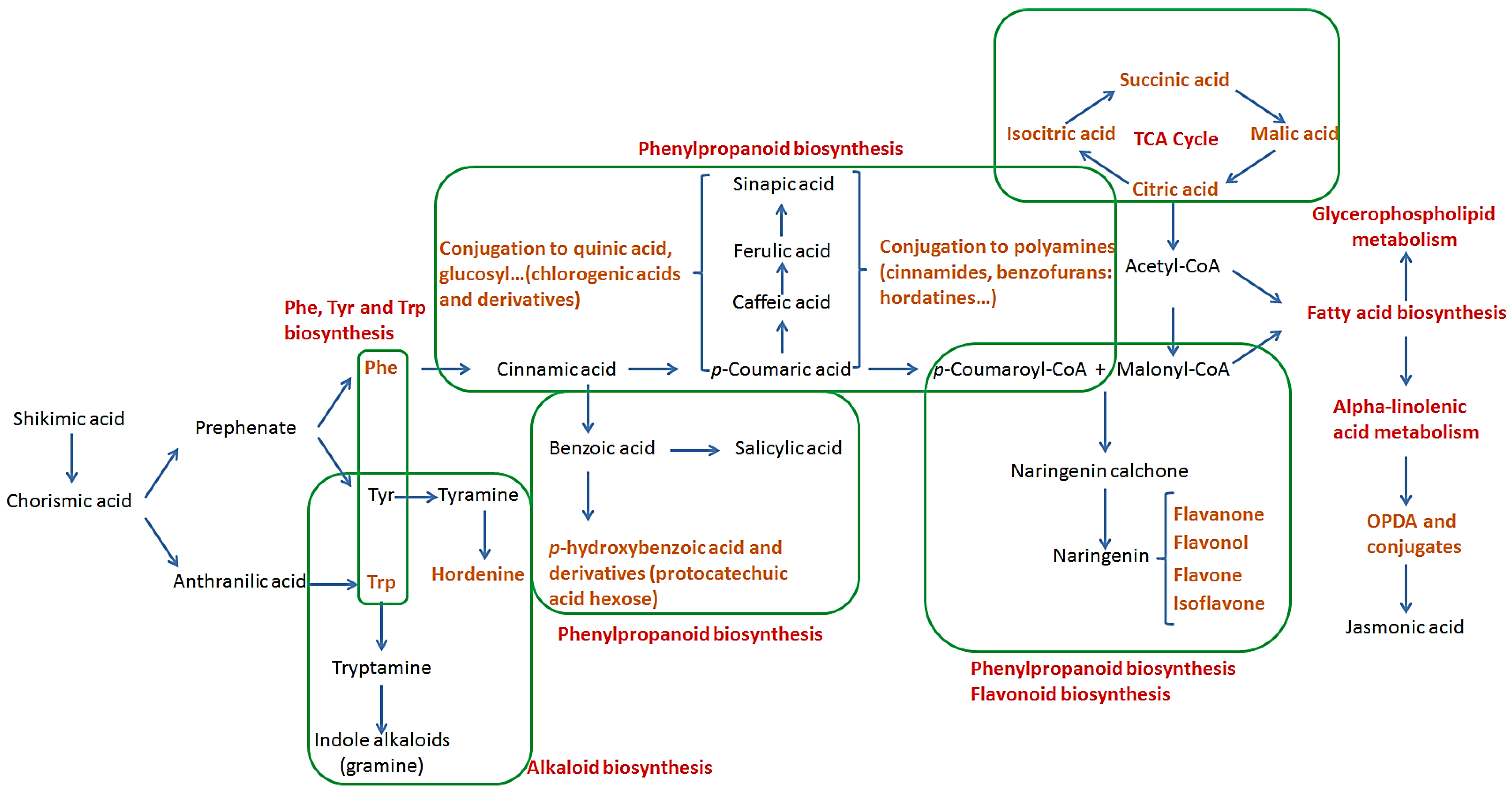 Metabolites 12 00310 g007