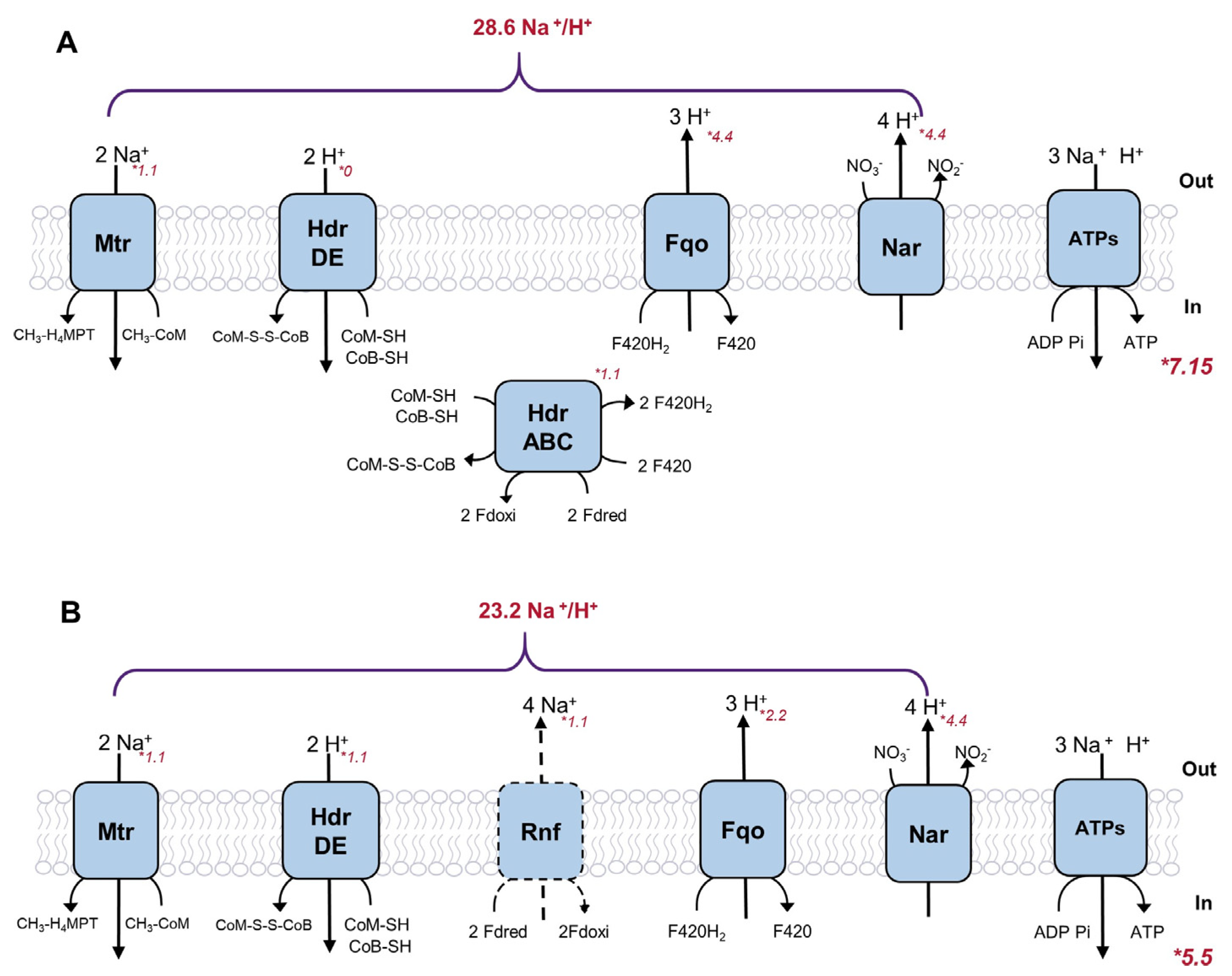 Metabolites 12 00314 g003