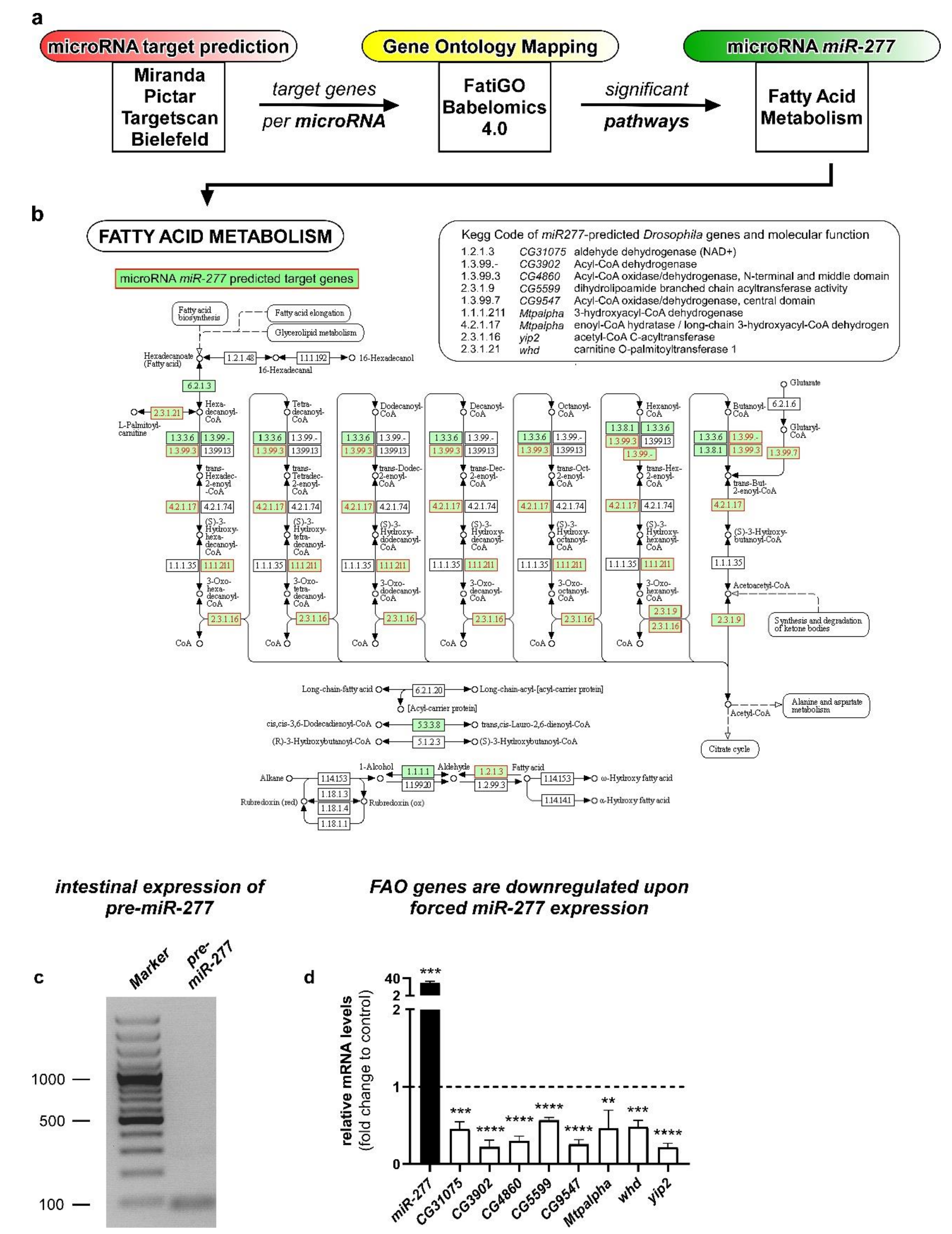 Metabolites 12 00315 g001