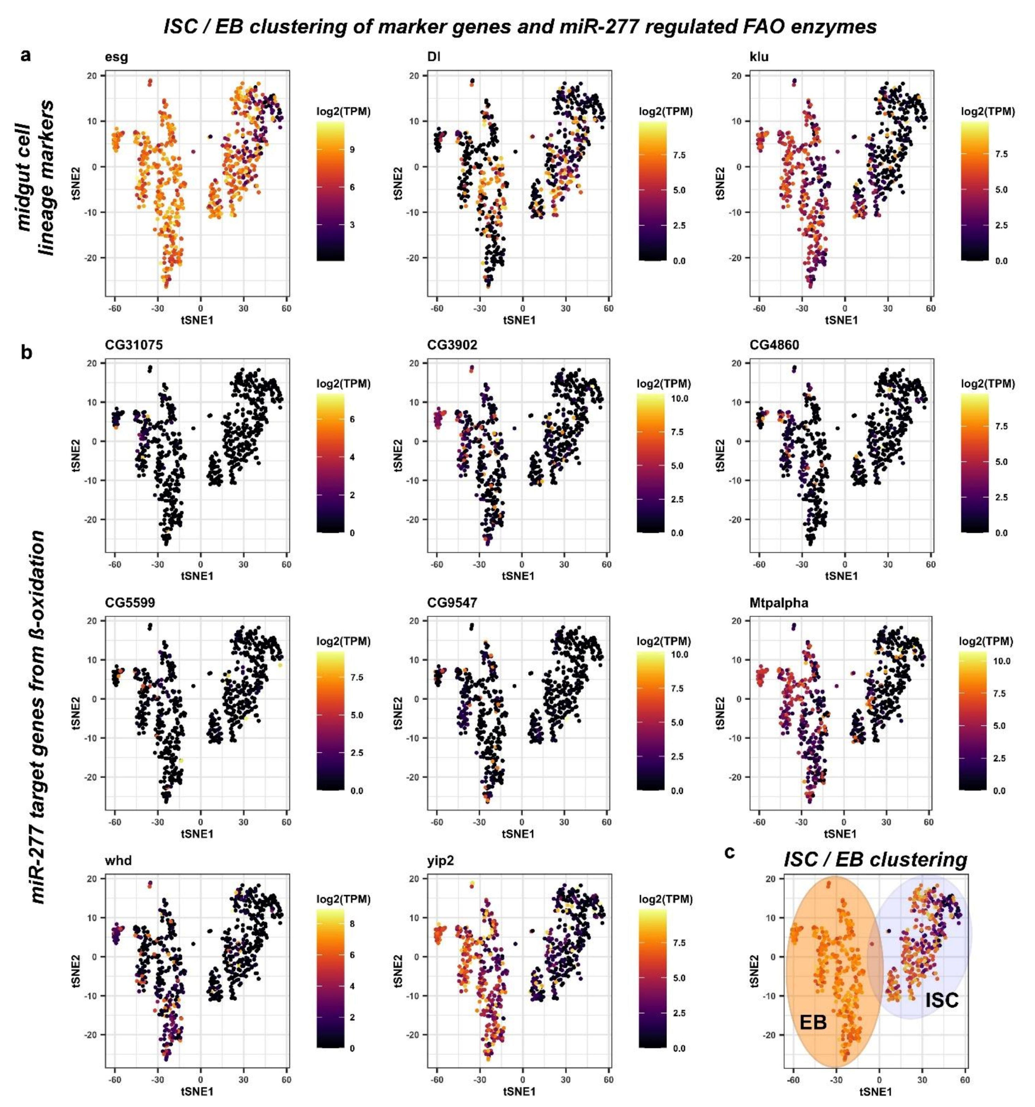 Metabolites 12 00315 g004