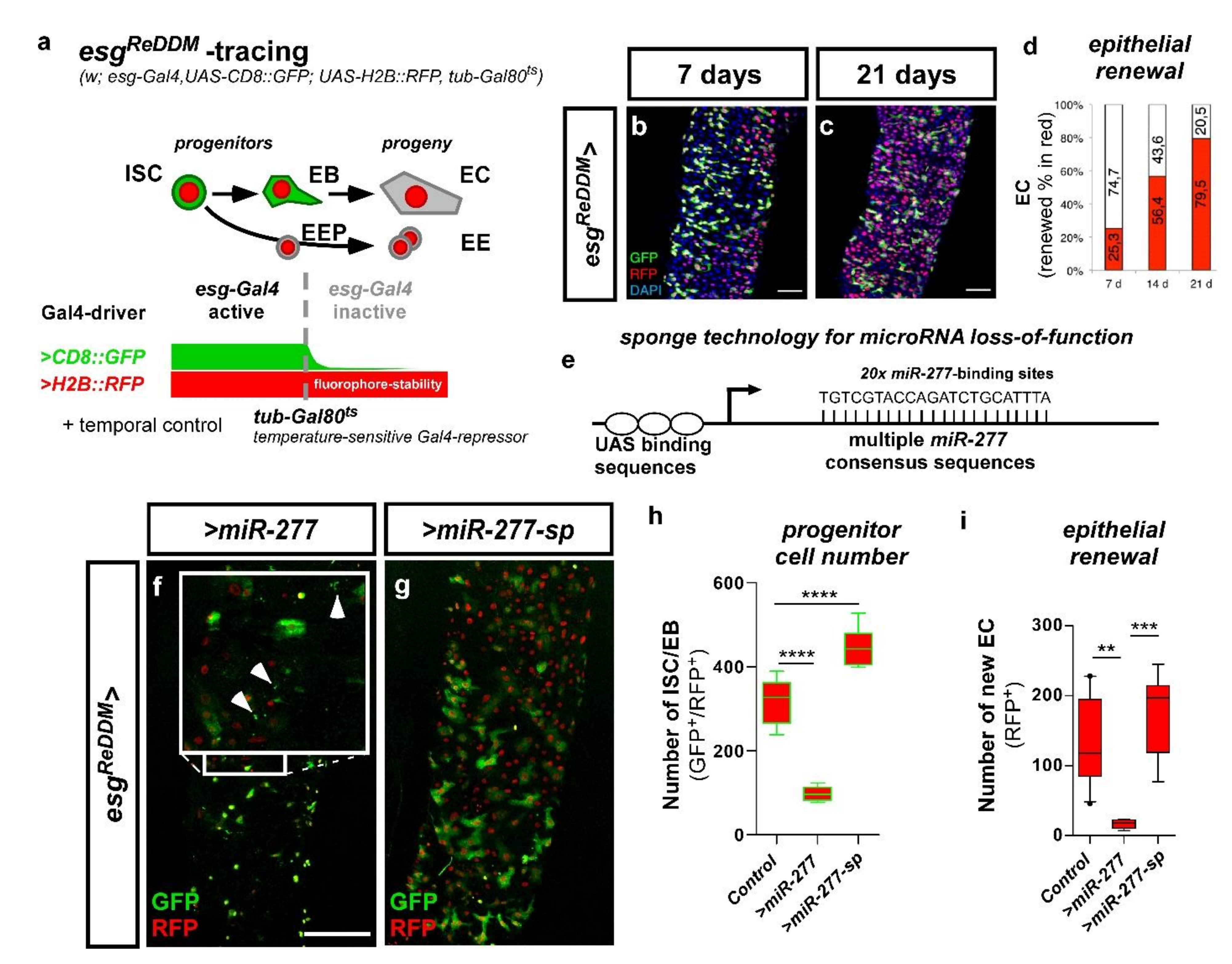 Metabolites 12 00315 g006