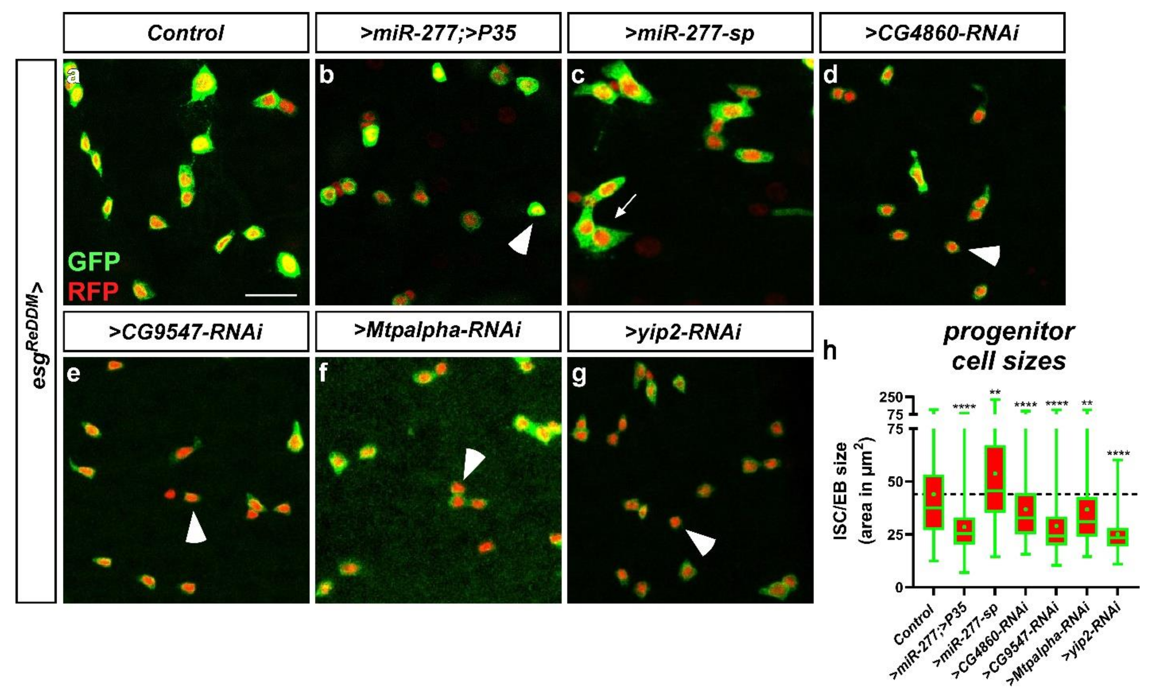 Metabolites 12 00315 g007