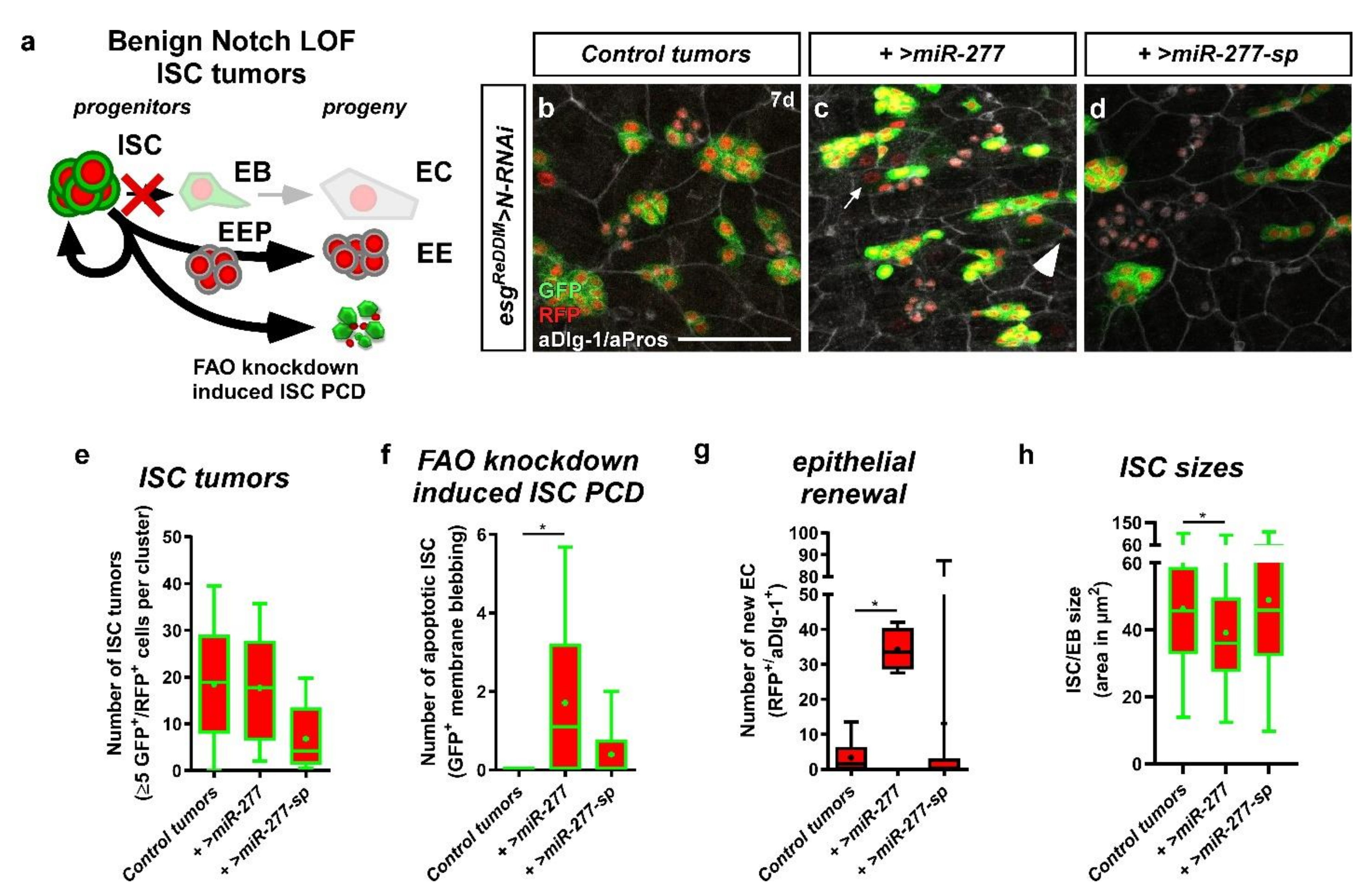 Metabolites 12 00315 g008