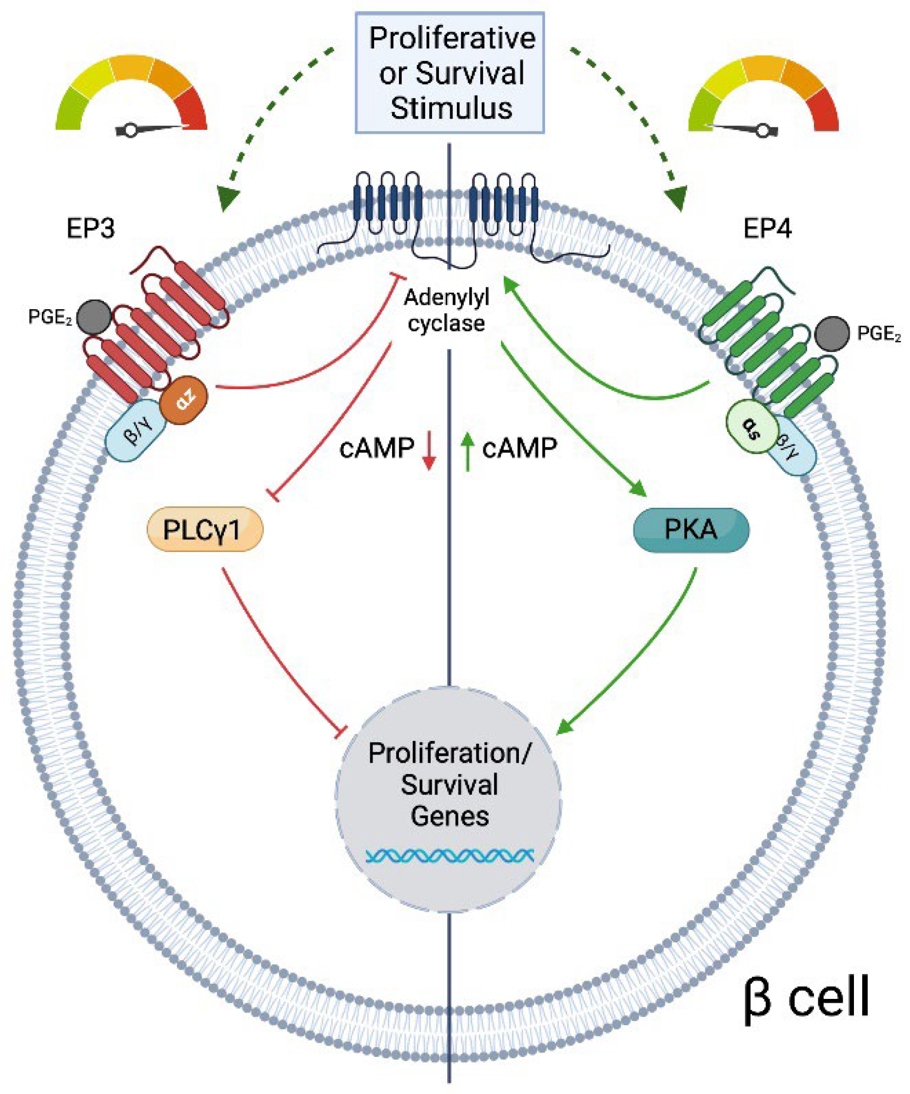Metabolites 12 00342 g002