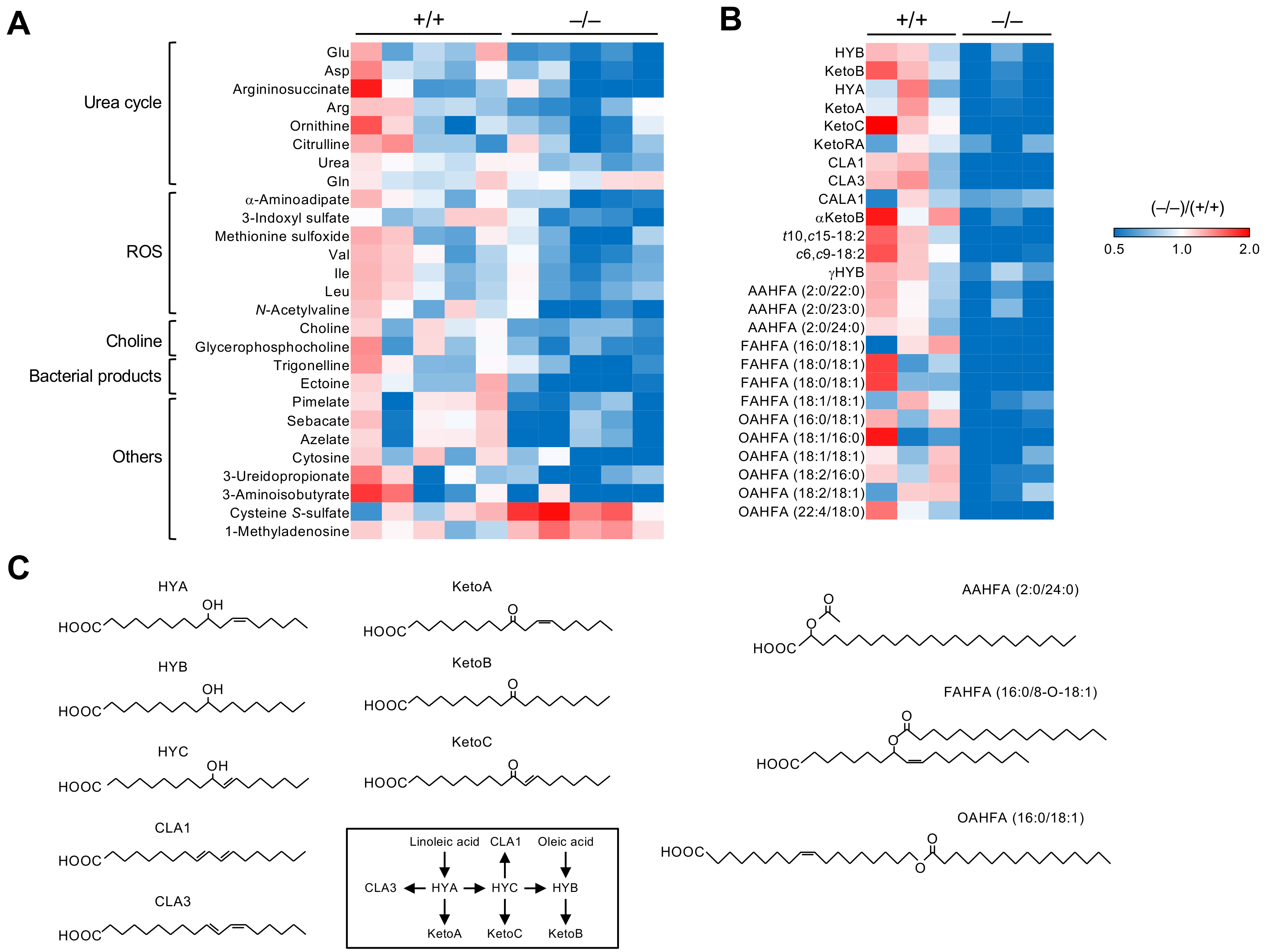 Metabolites 12 00352 g002 Metabolites 12 00352 g002