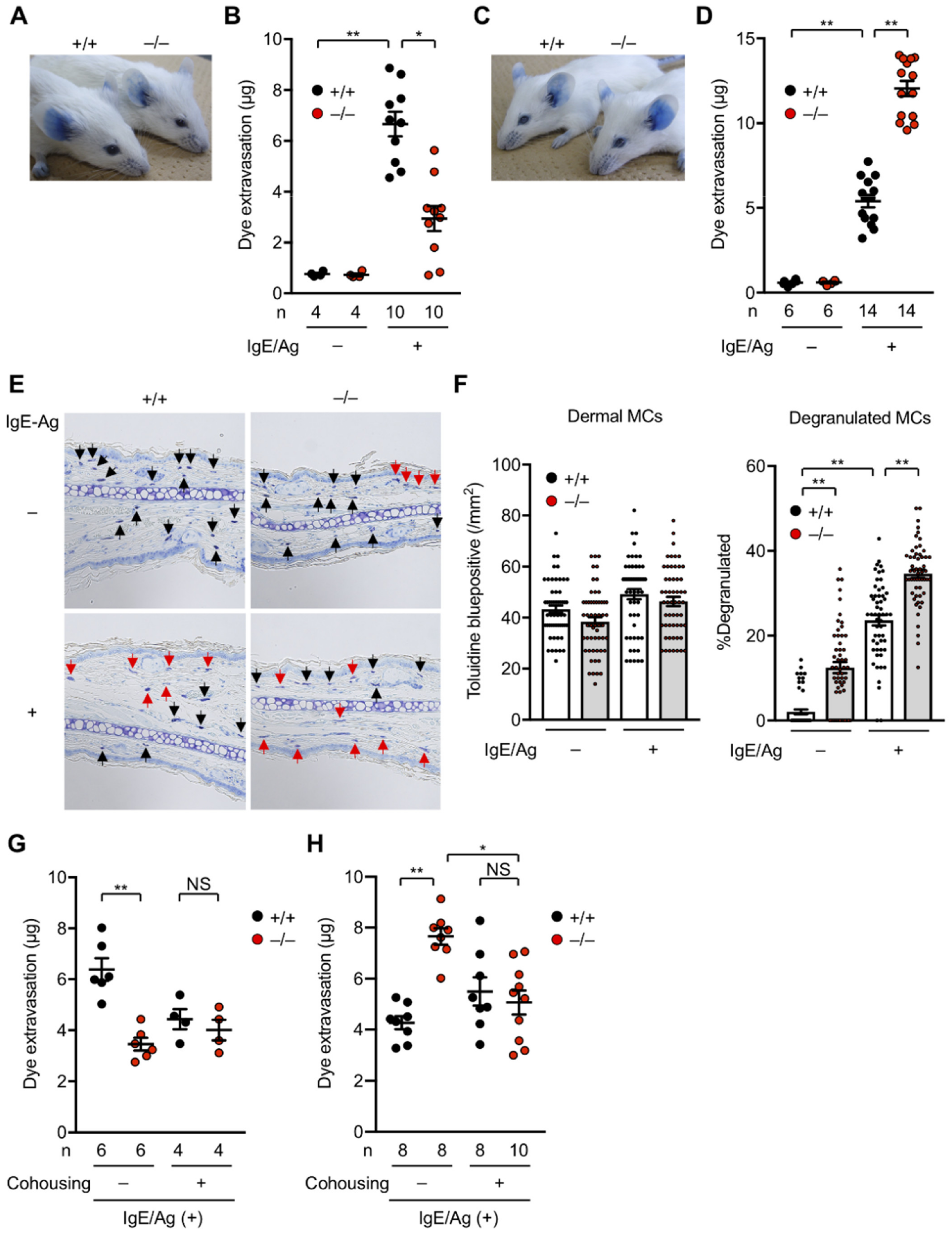 Metabolites 12 00352 g003 Metabolites 12 00352 g003