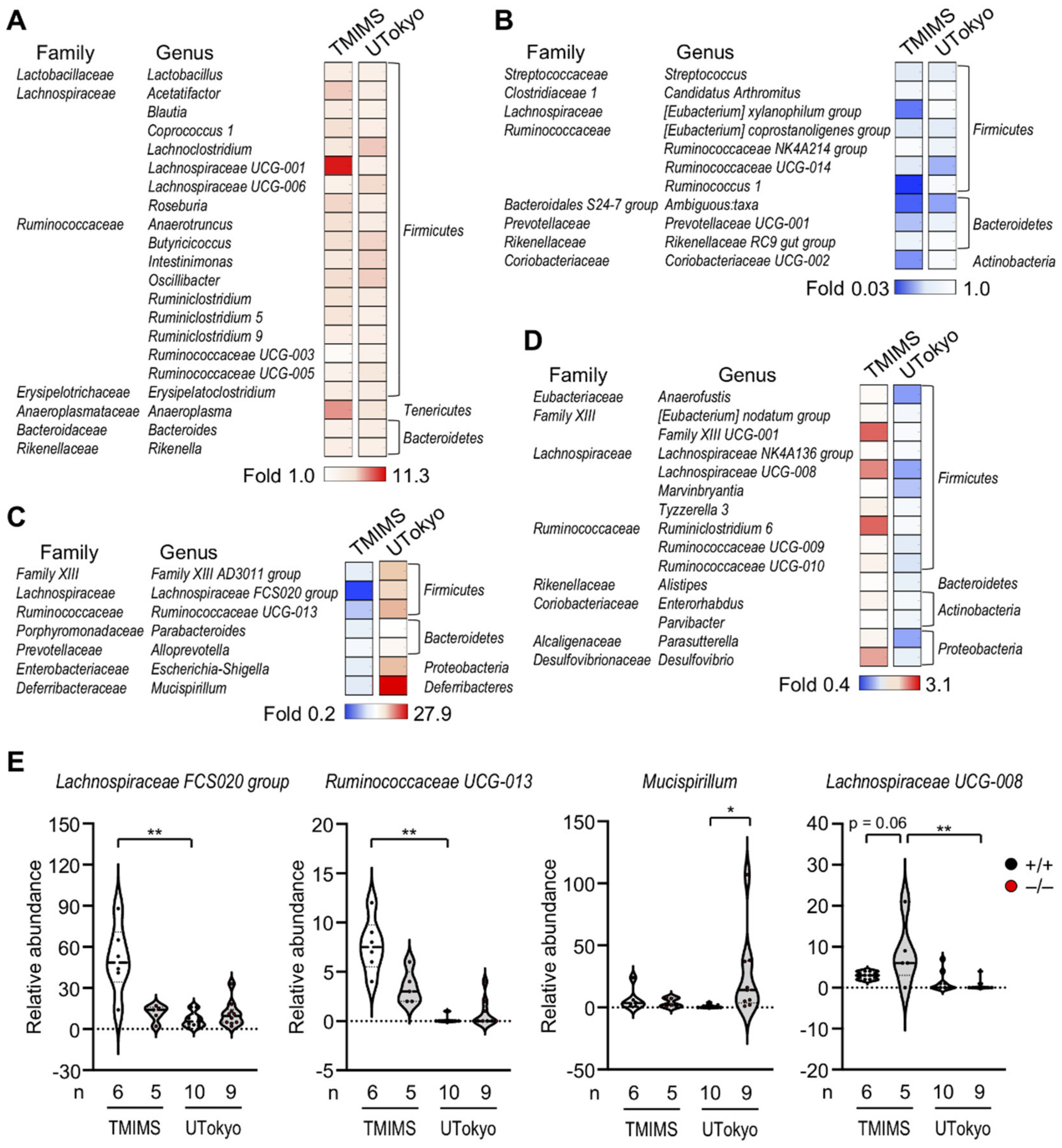 Metabolites 12 00352 g004 Metabolites 12 00352 g004