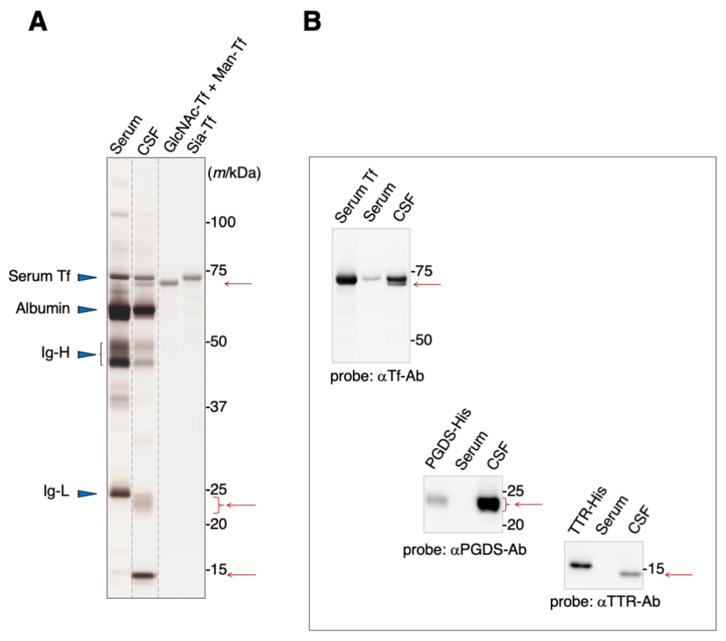 Metabolites 12 00355 g001