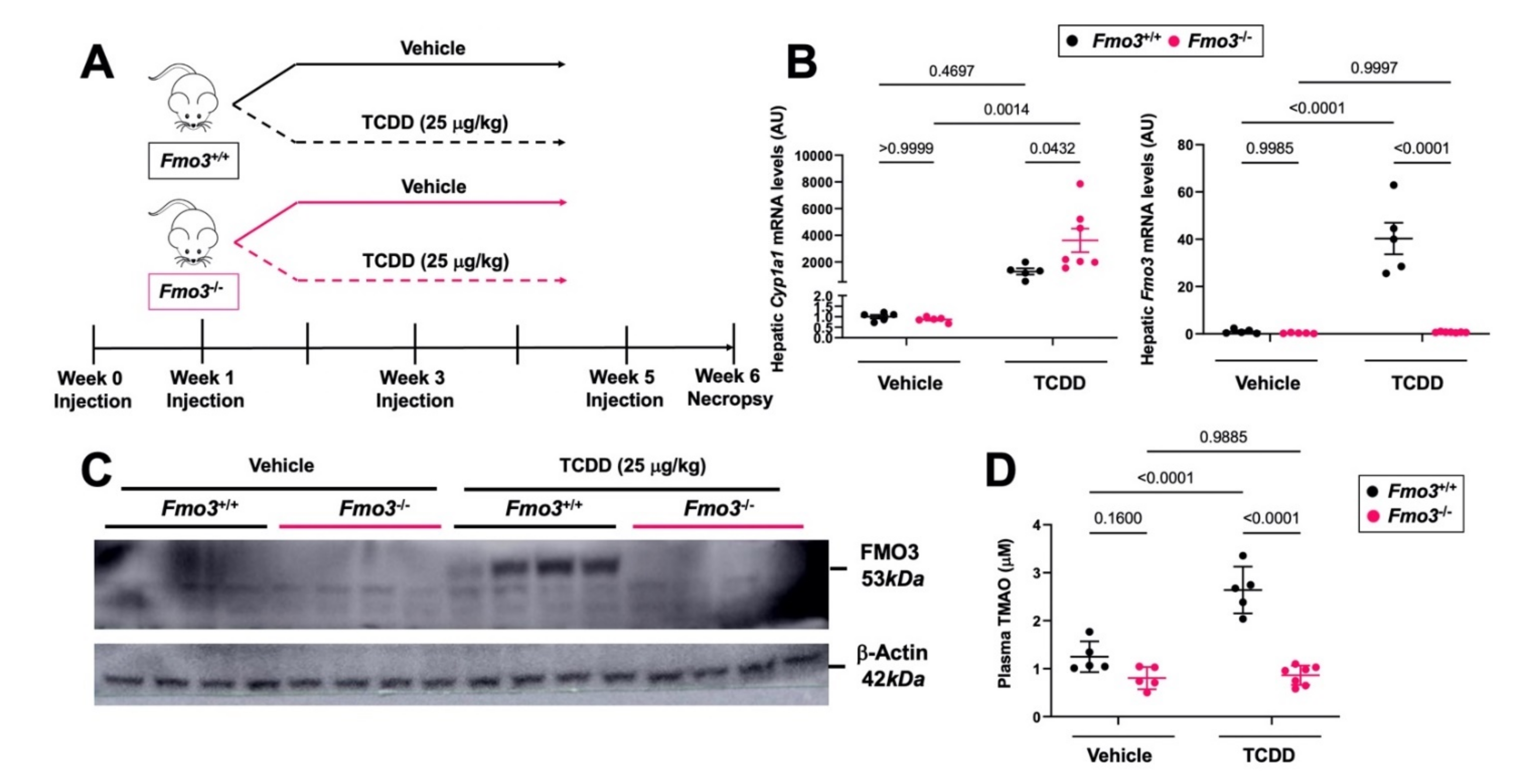 Metabolites 12 00364 g001