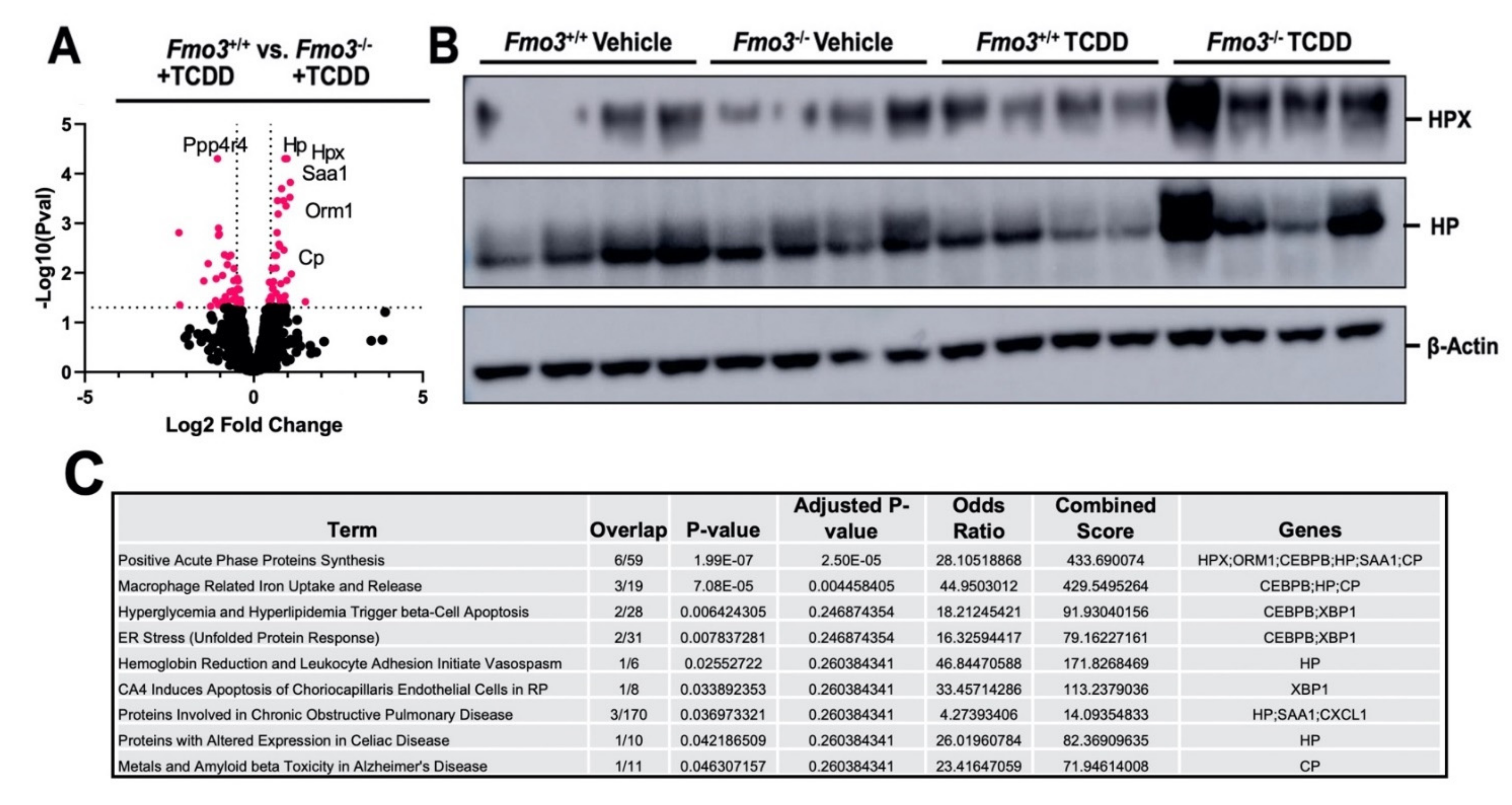 Metabolites 12 00364 g003