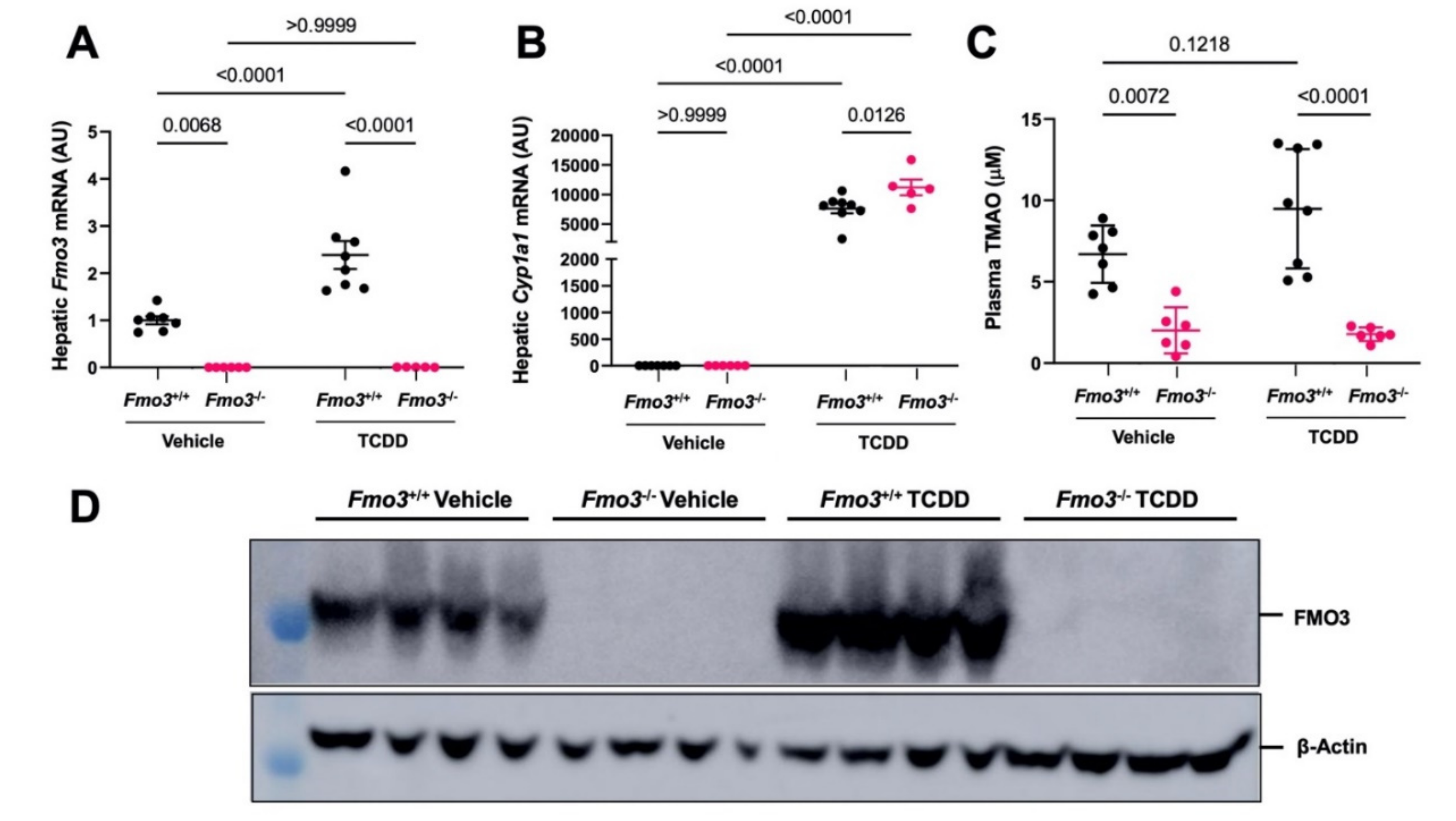 Metabolites 12 00364 g008