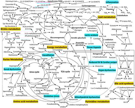 Metabolites 12 00376 g001 550