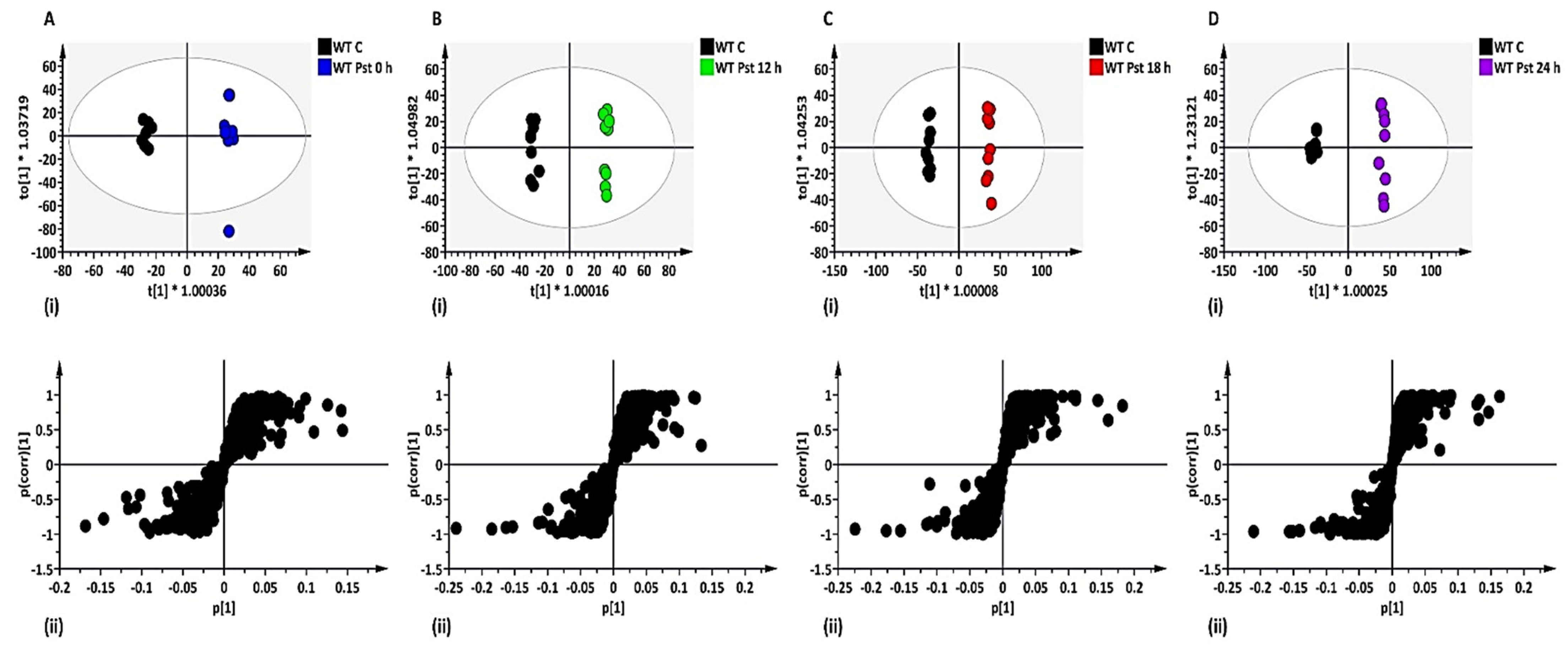 Metabolites 12 00379 g001