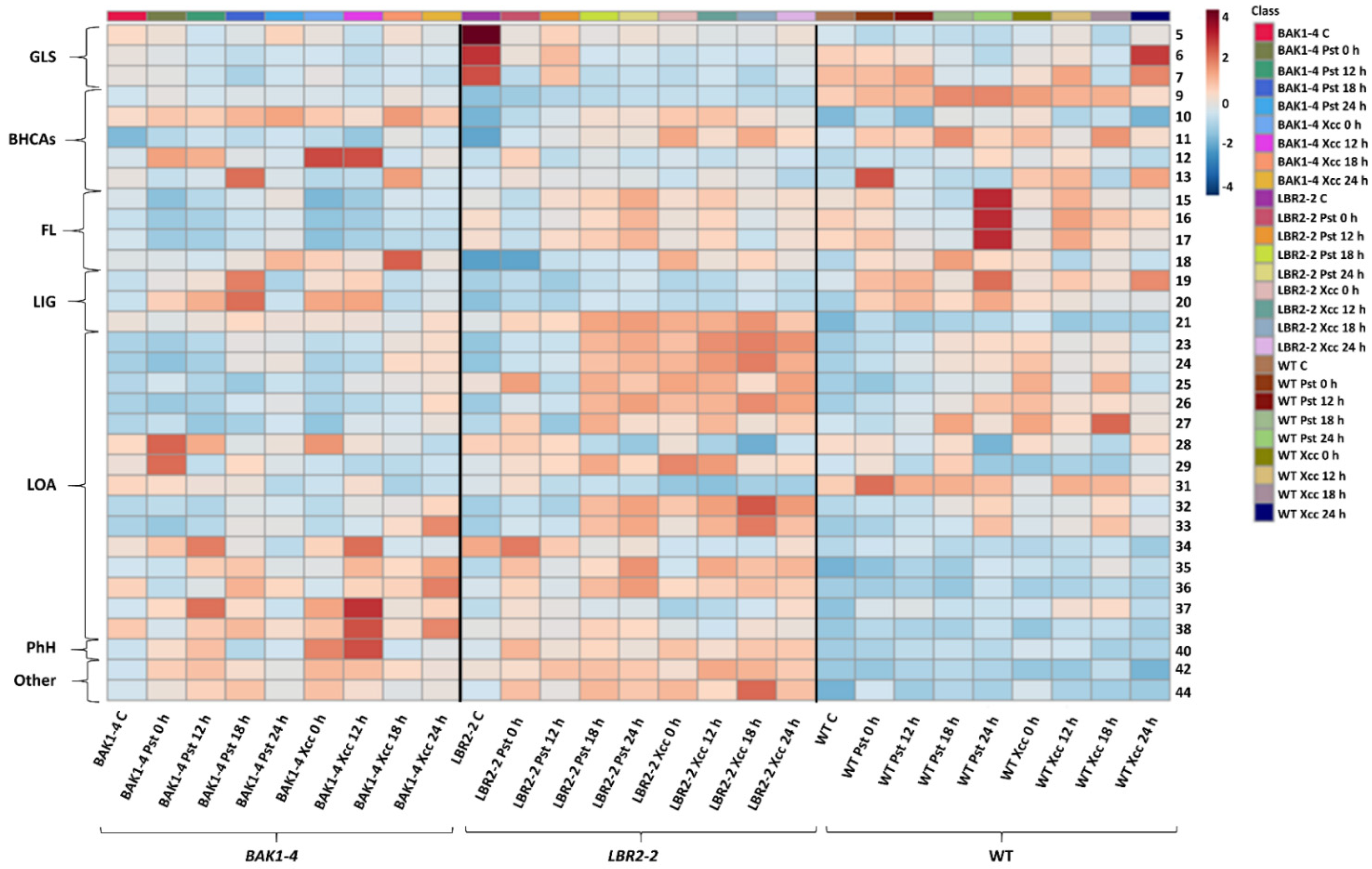 Metabolites 12 00379 g005