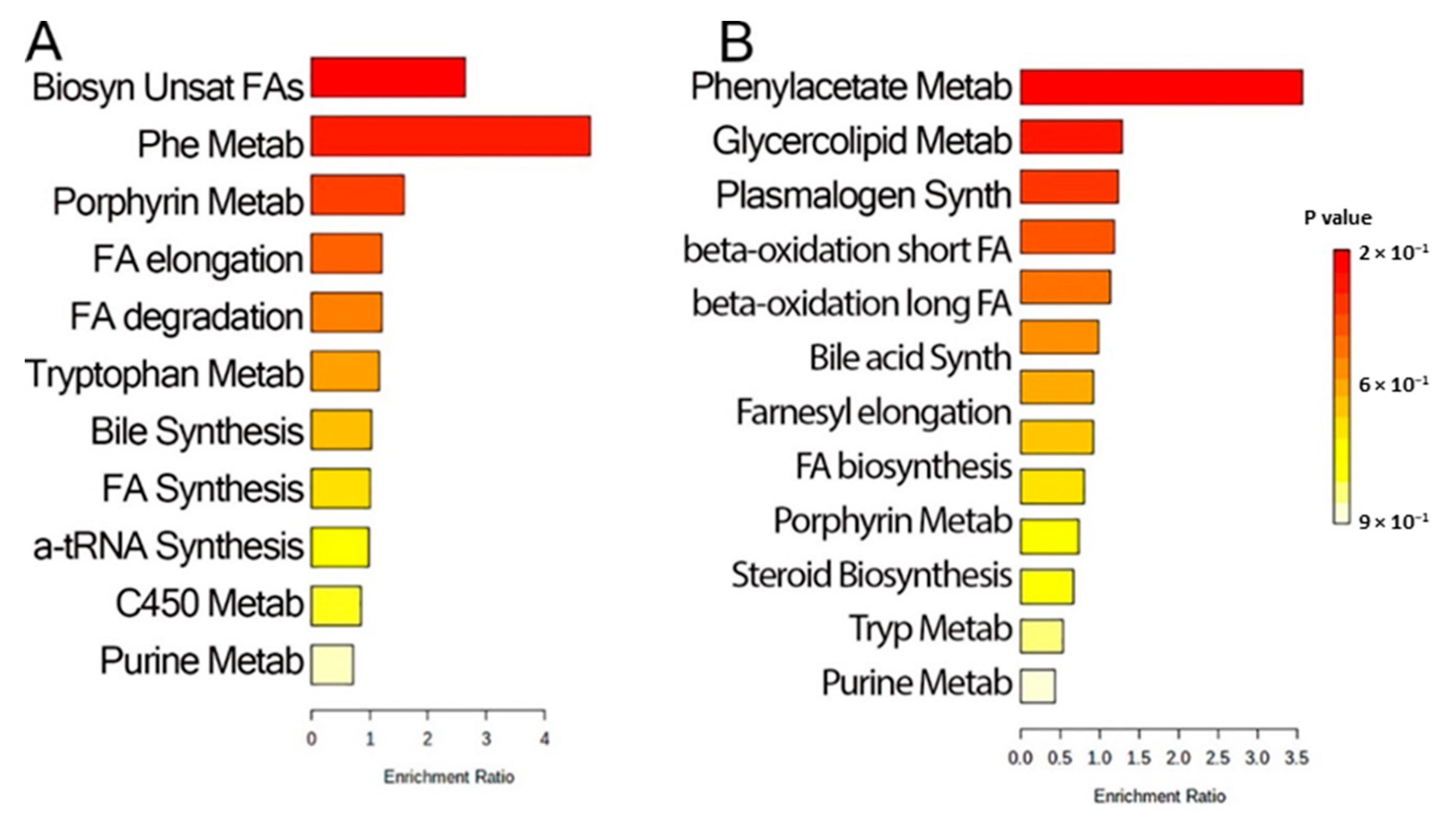 Metabolites 12 00381 g004