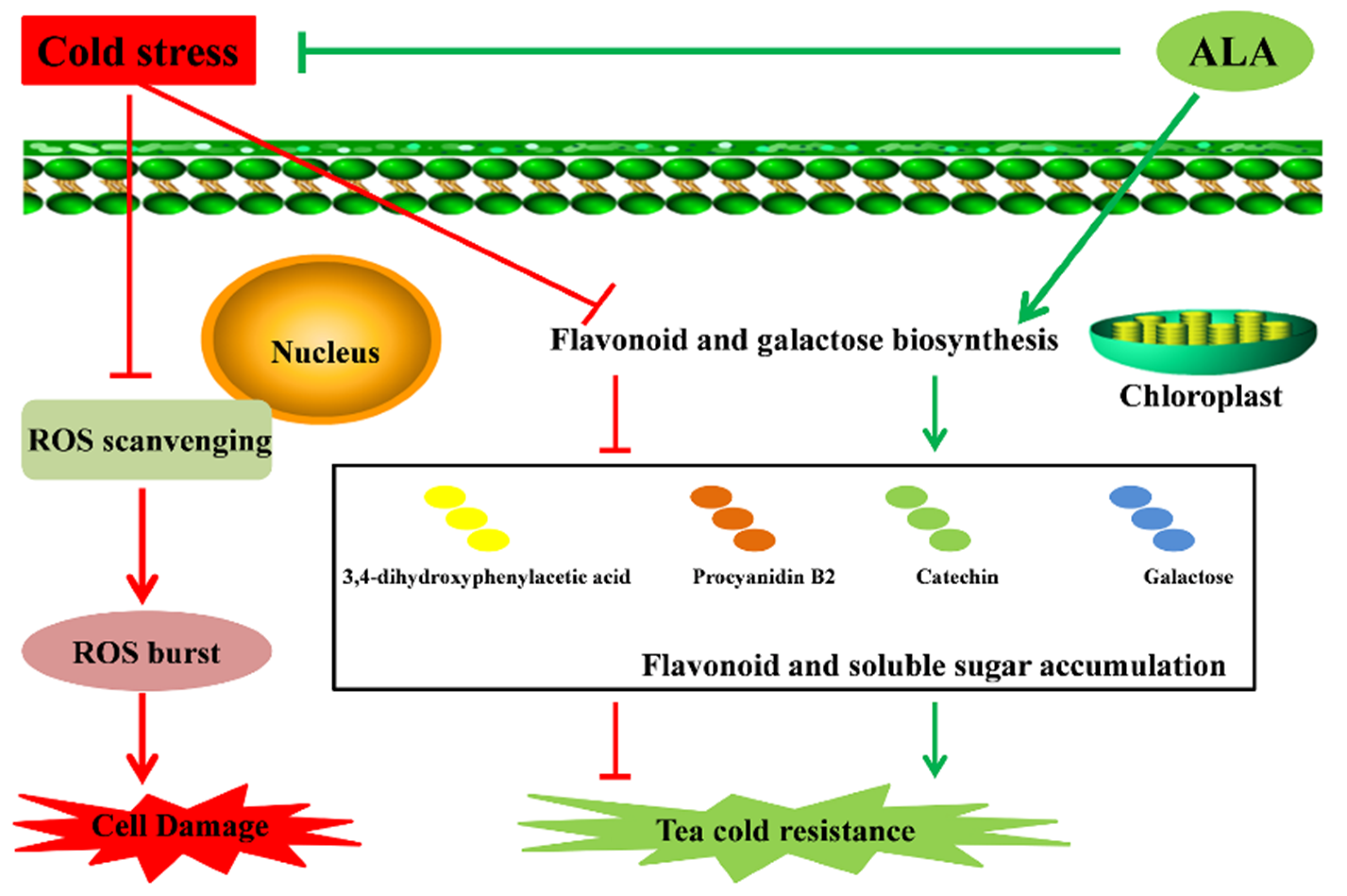 Metabolites 12 00392 g005