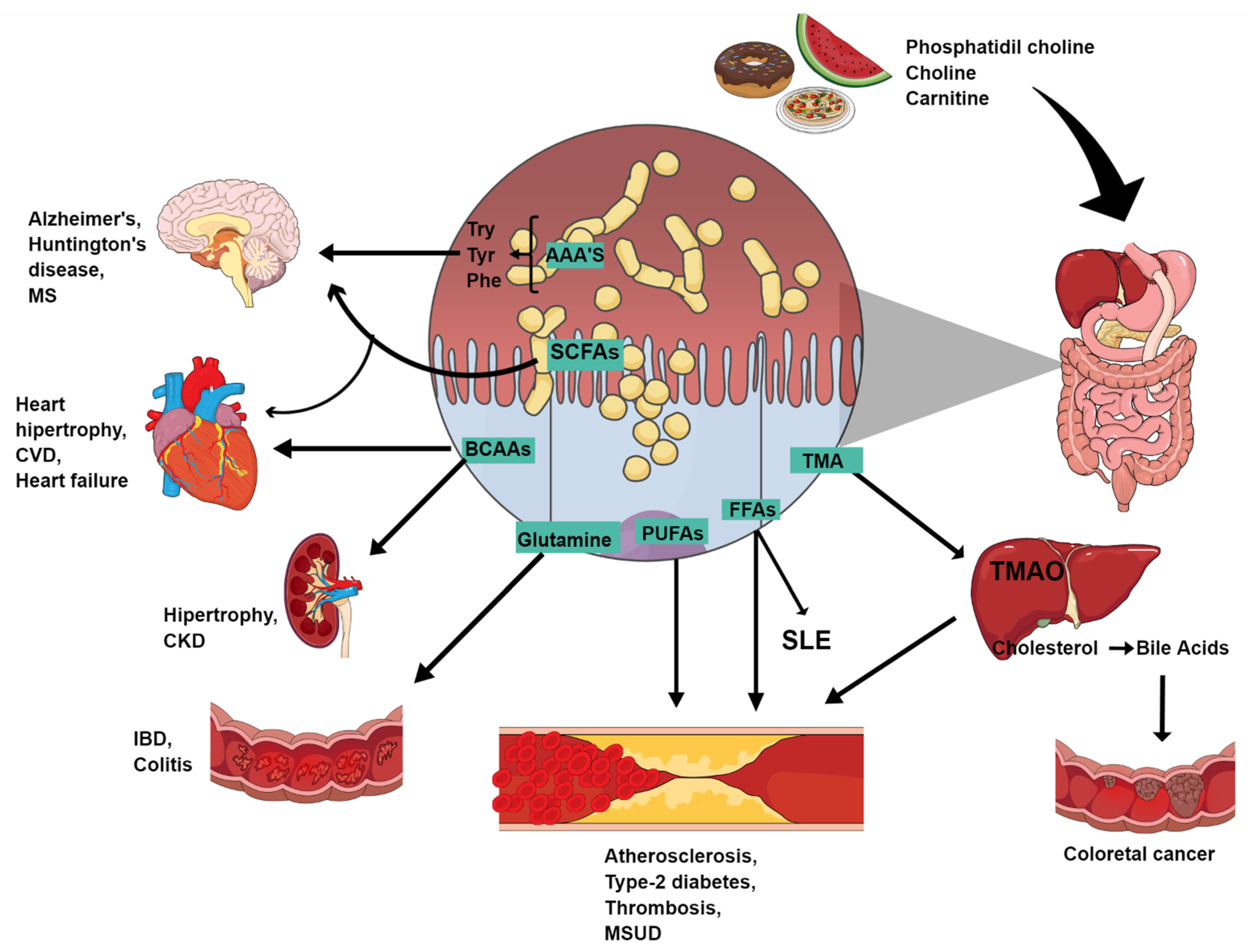 Metabolites 12 00394 g001