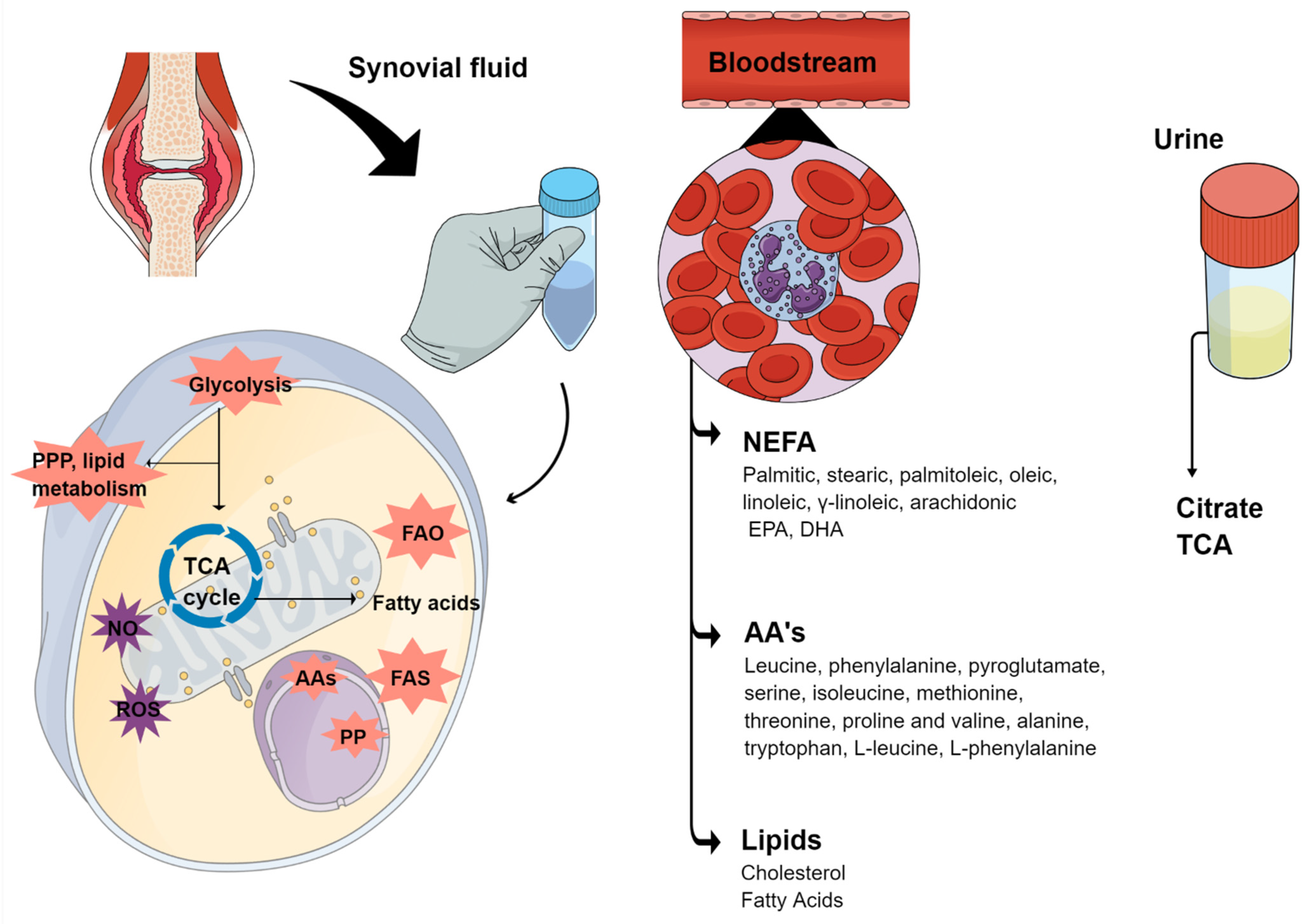 Metabolites 12 00394 g002