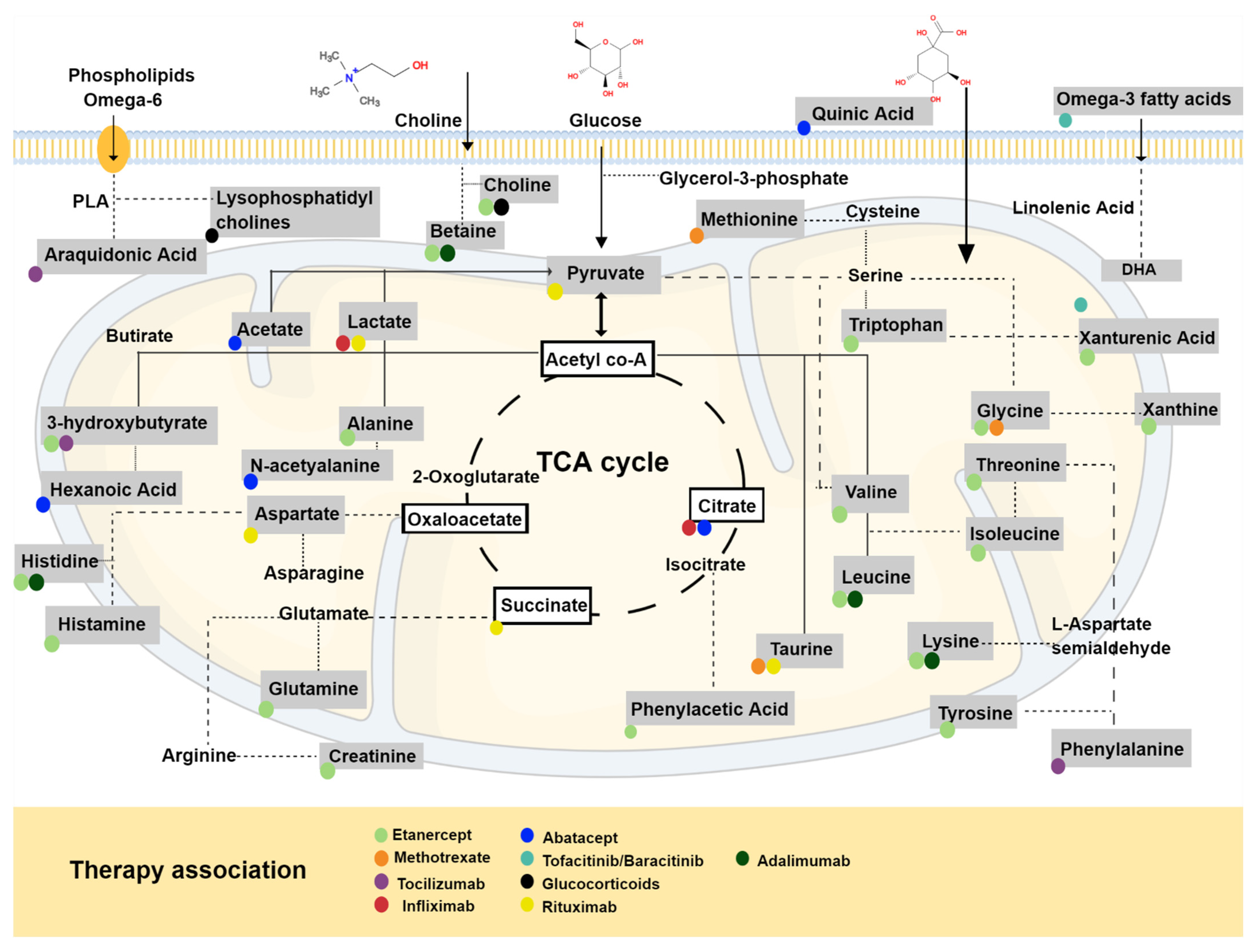 Metabolites 12 00394 g003