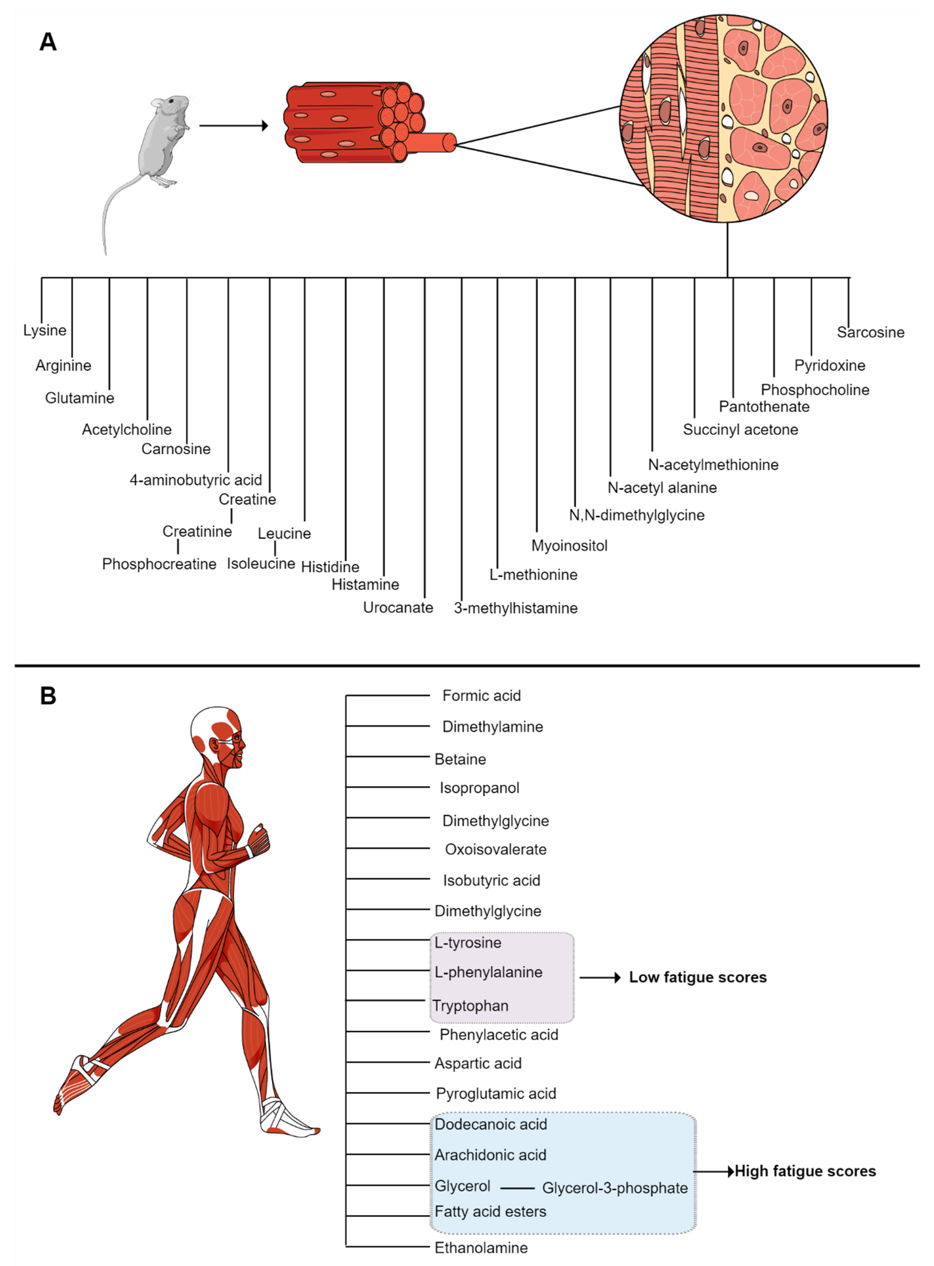 Metabolites 12 00394 g004