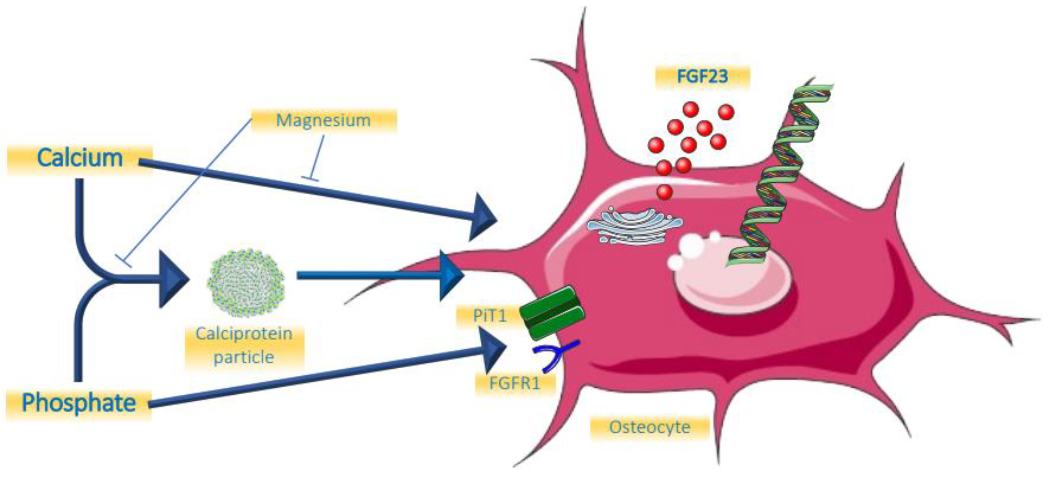 Metabolites 12 00401 g001