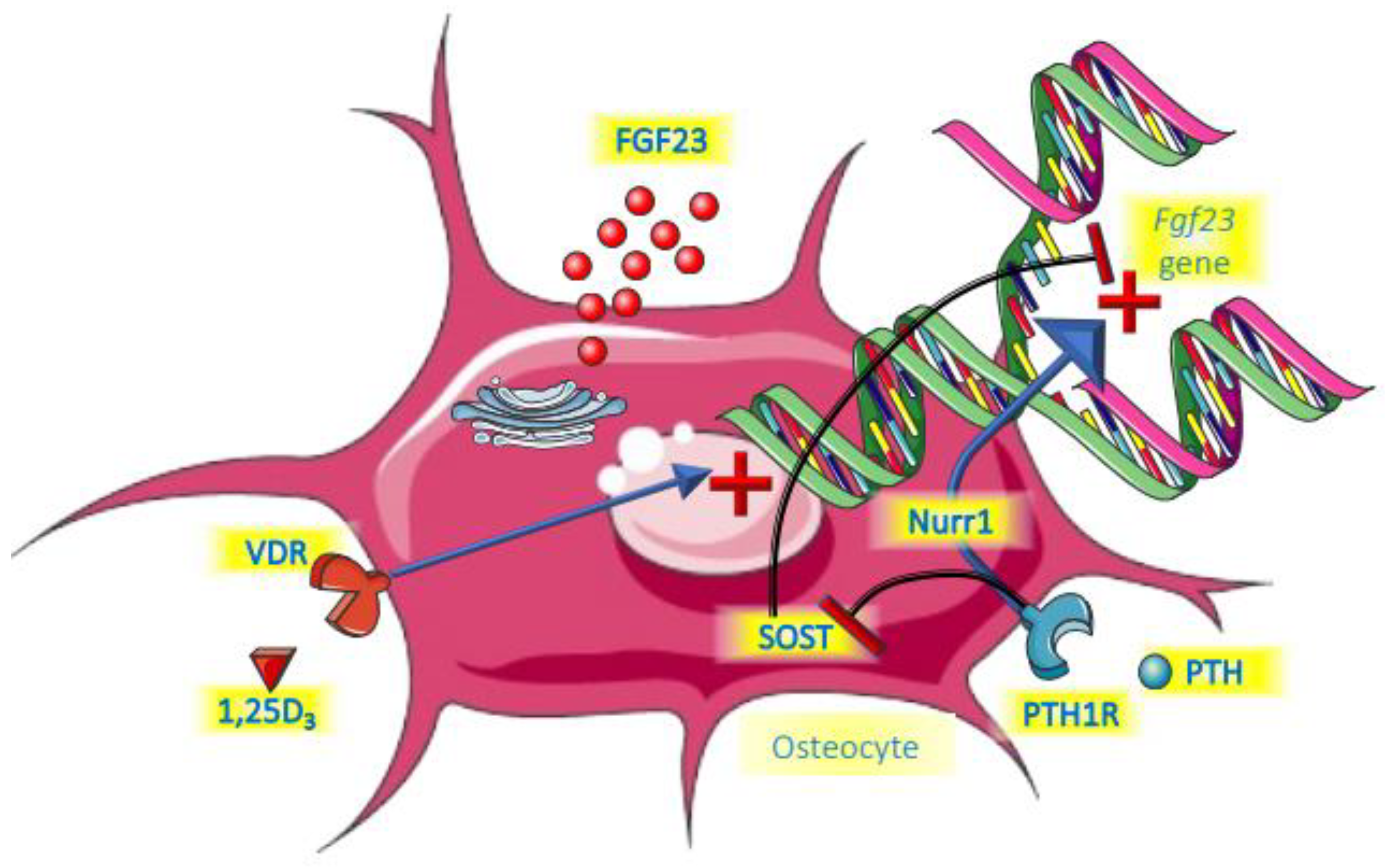 Metabolites 12 00401 g002