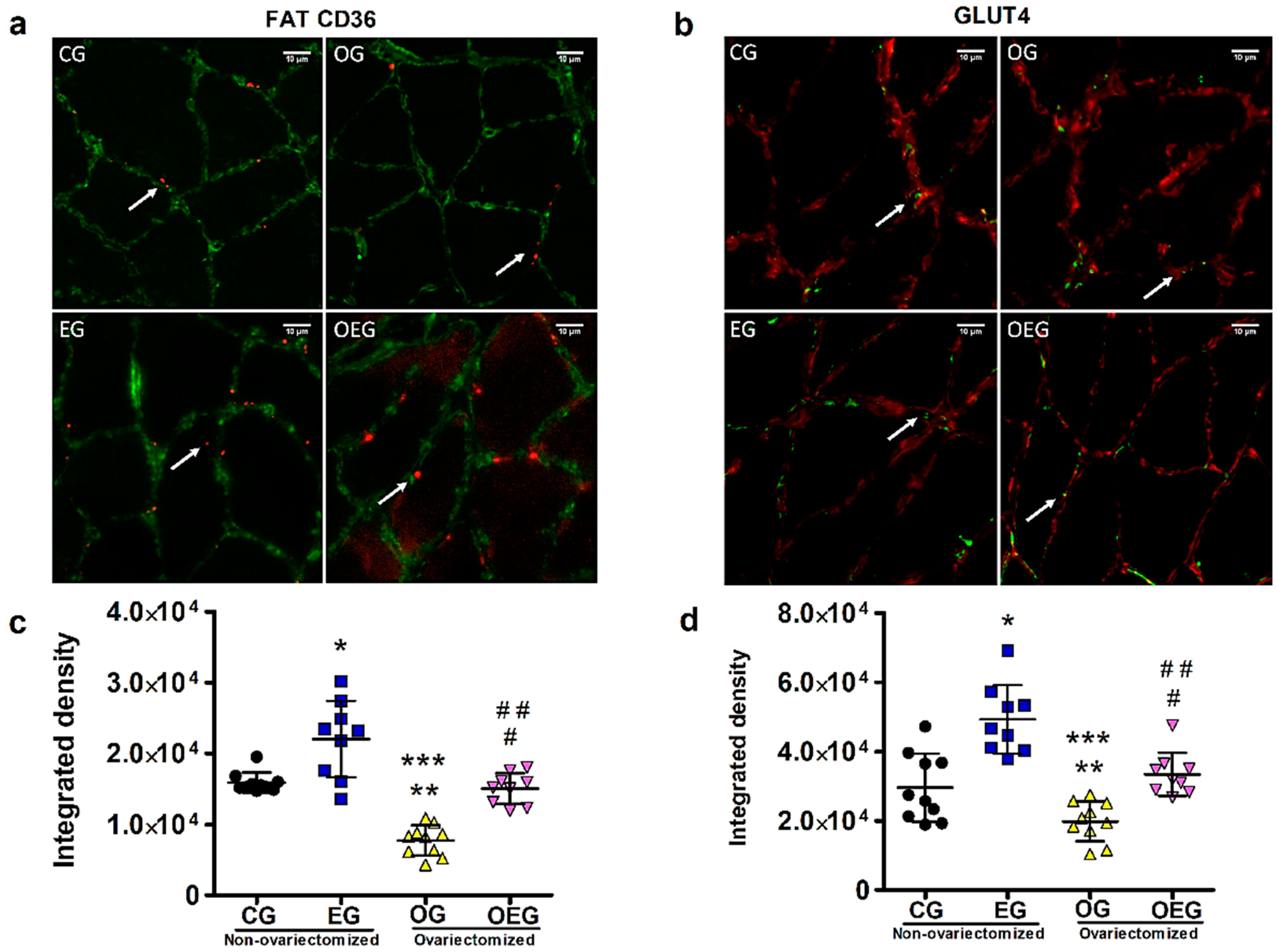Metabolites 12 00402 g001