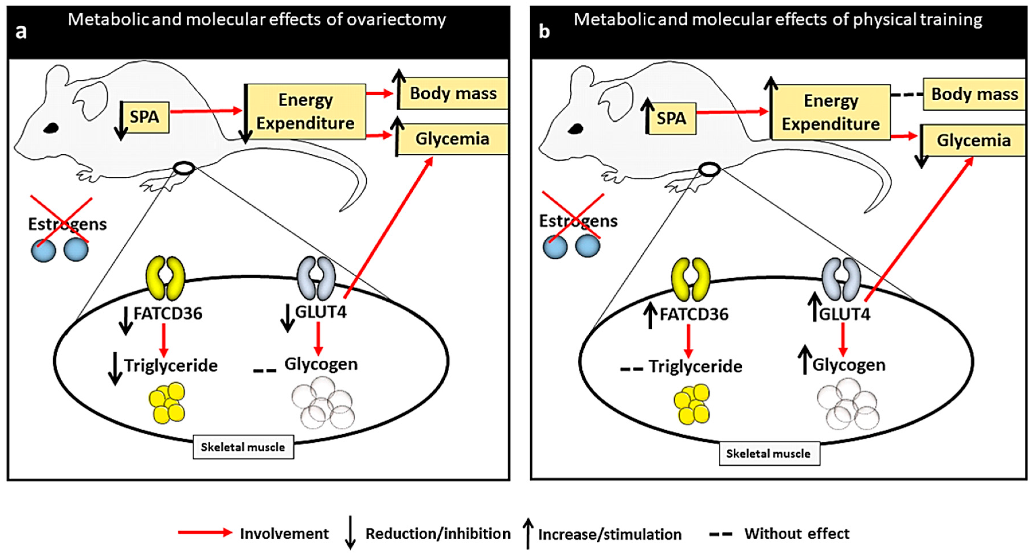 Metabolites 12 00402 g005