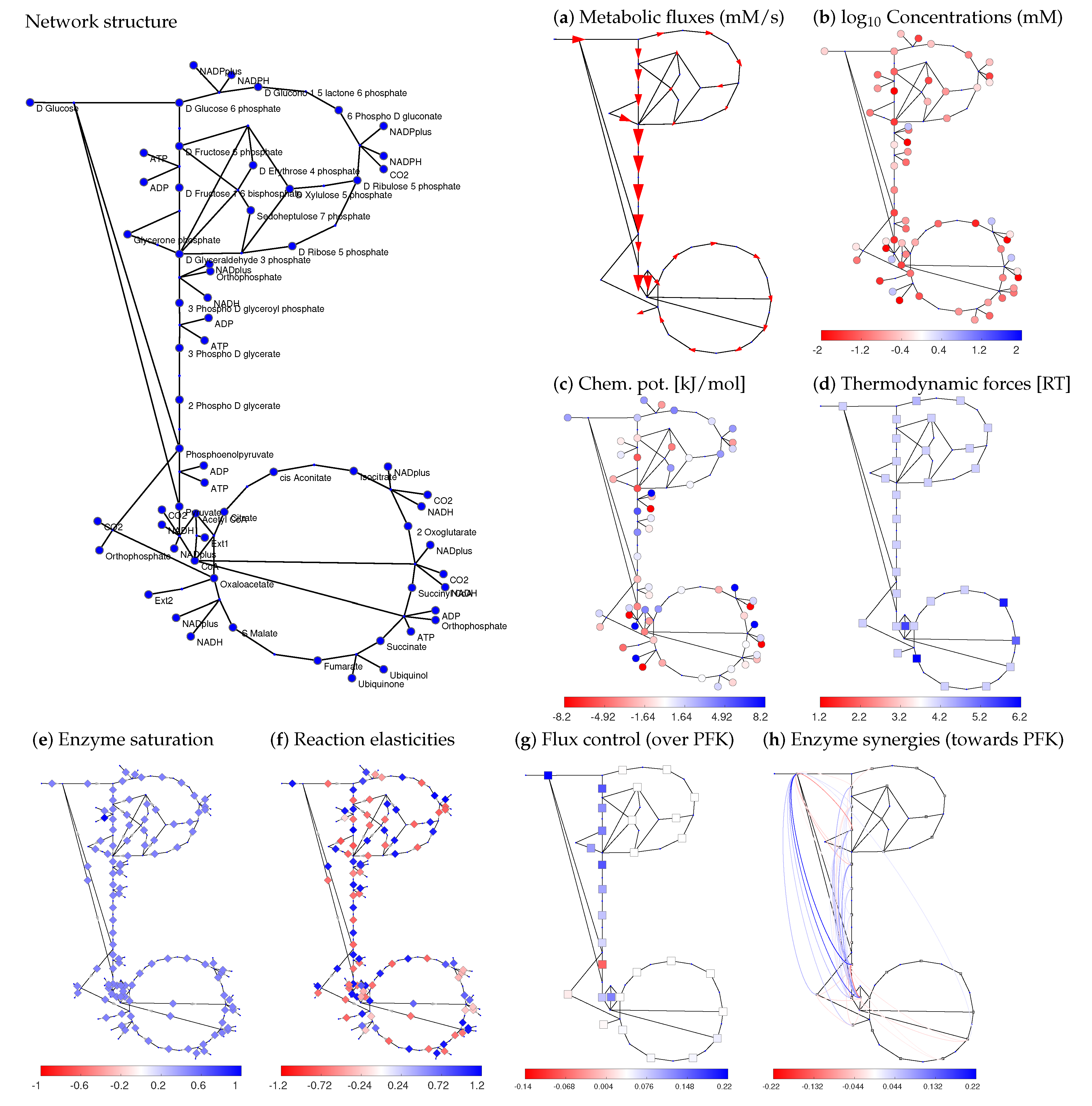 Metabolites 12 00434 g003 Metabolites 12 00434 g003
