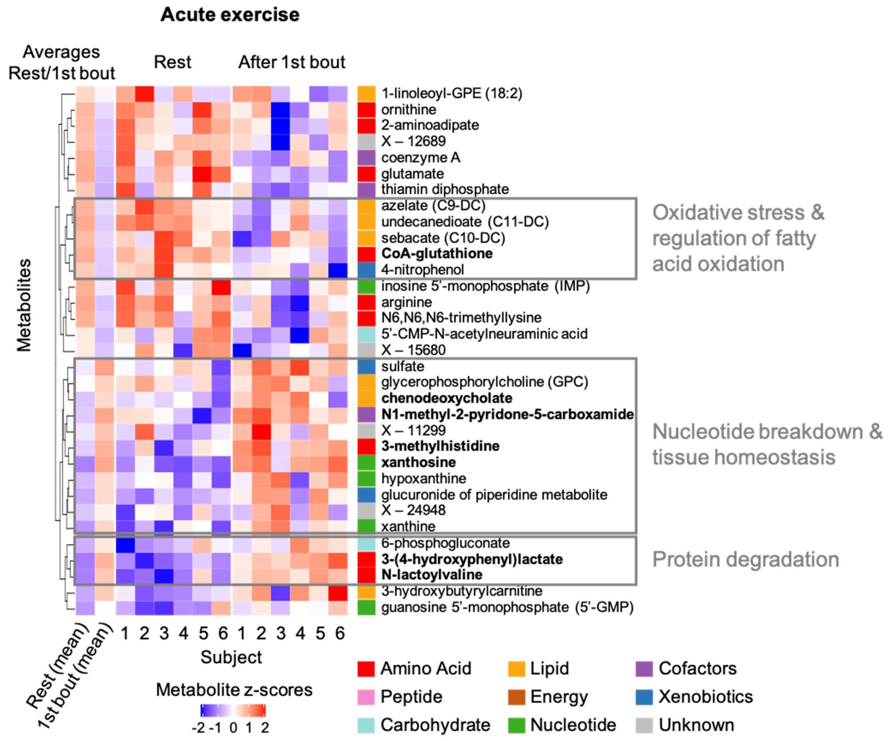 Metabolites 12 00445 g004