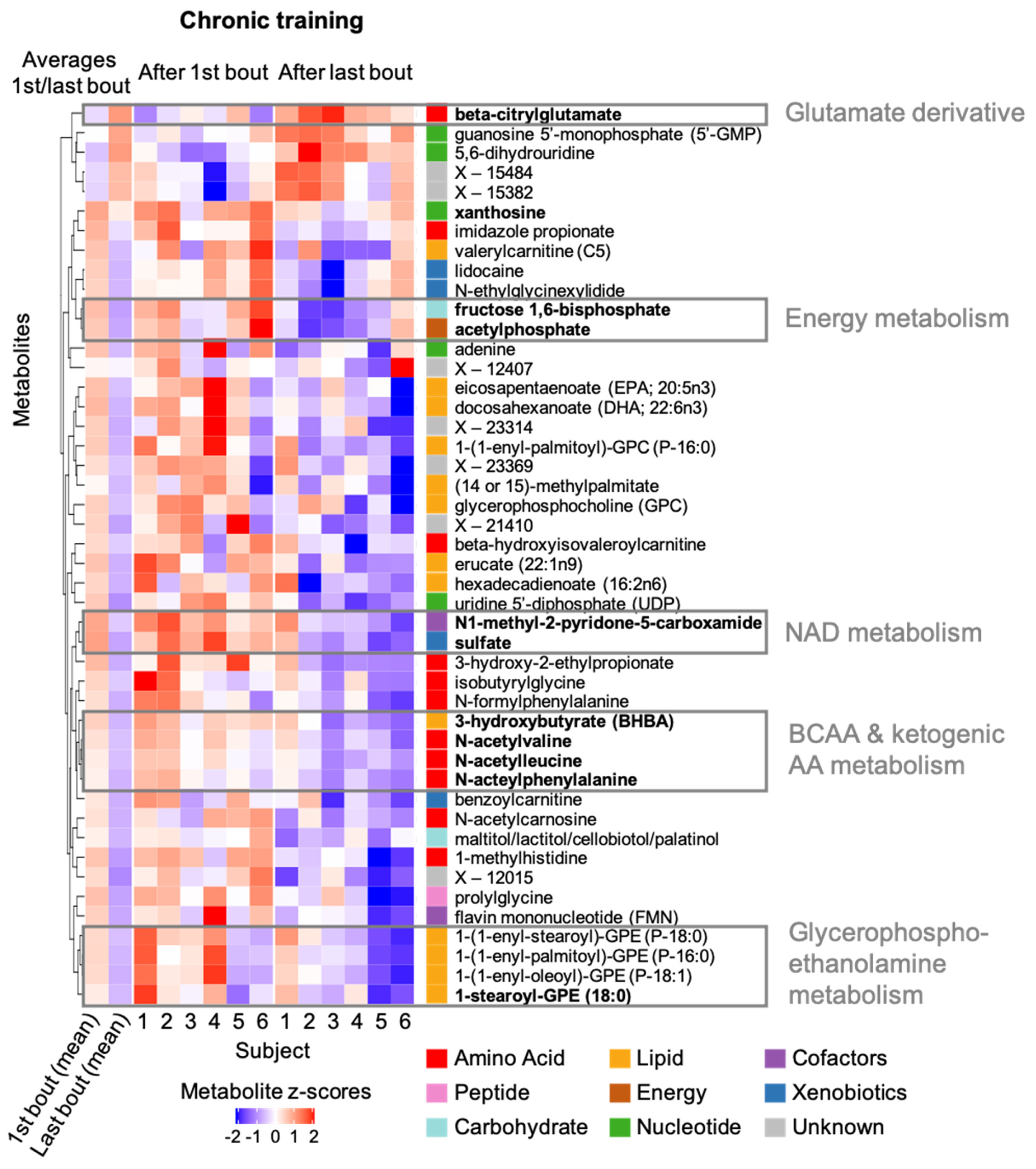 Metabolites 12 00445 g005