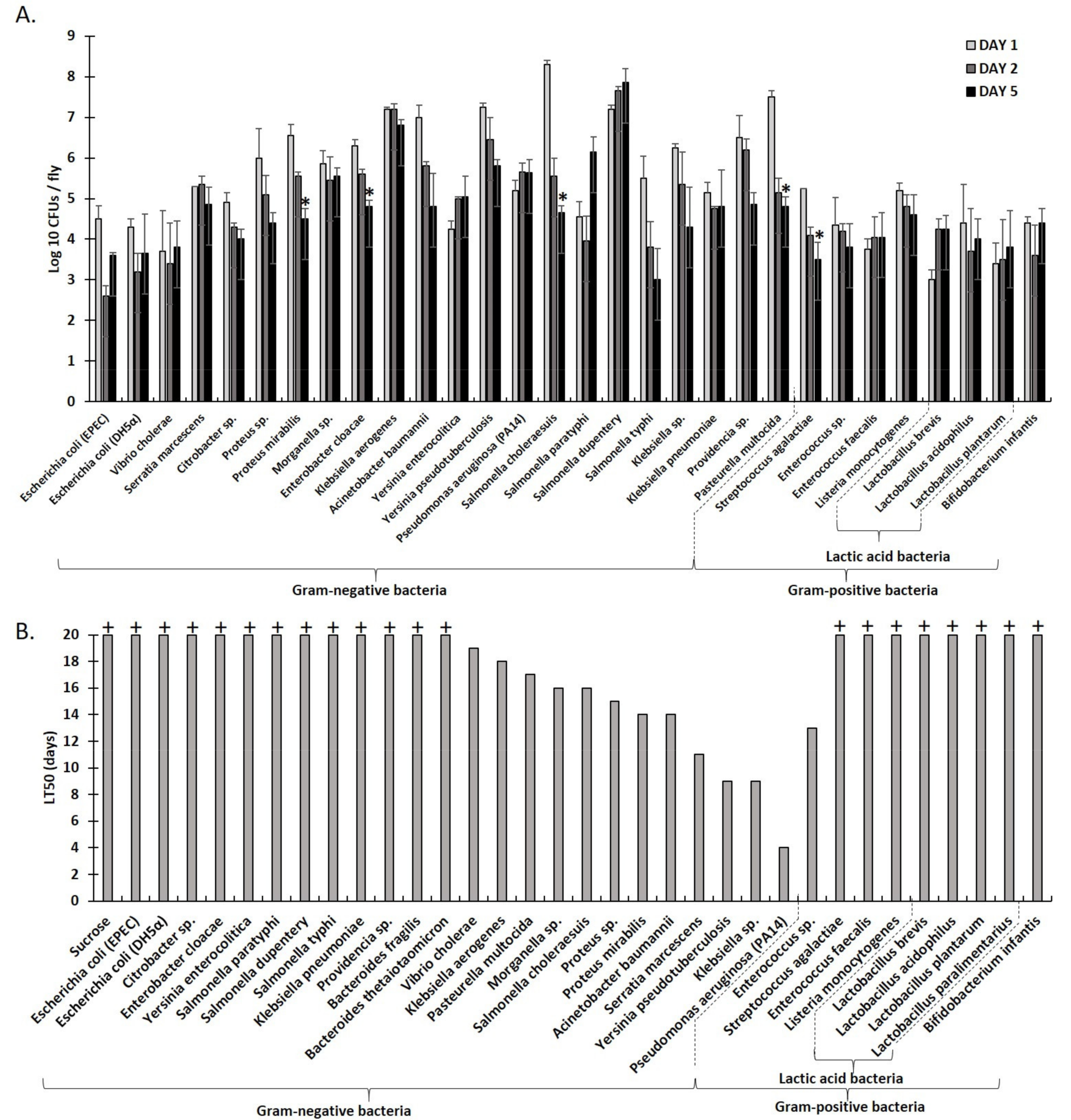 Metabolites 12 00449 g001